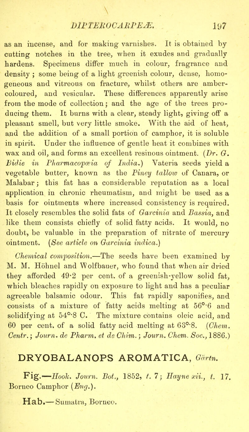 \ MPTER0CARPE2E. 19? as an incense, and for making varnishes. It is obtained by- cutting notches in the tree, when it exudes and gradually hardens. Specimens differ much in colour, fragrance and density ; some being of a light greenish colour, dense, homo- geneous and vitreous on fracture, whilst others are amber- coloured, and vesicular. These differences apparently arise from the mode of collection; and the age of the trees pro- ducing them. It burns with a clear, steady light, giving off a pleasant smell, but very little smoke. With the aid of heat, and the addition of a small portion of camphor, it is soluble in spirit. Under the influence of gentle heat it combines with, wax and oil, and forms an excellent resinous ointment. (Dr. G, Bidie in Bliarmacopoeia of India,) Vateria seeds yield a vegetable butter, known as the Piney talloiu of Canara, or Malabar; this fat has a considerable reputation as a local application in chronic rheumatism, and might be used as a basis for ointments where increased consistency is required. It closely resembles the solid fats of Garcinia and Bassia, and like them consists chiefly of solid fatty acids. It would, no doubt, be valuable in the preparation of nitrate of mercury ointment. (See article on Garcinia indica.) Chemical composition.—The seeds have been examined by M. M. Hohnel and Wolfbauer, who found that when air dried they afforded 49*2 per cent, of a greenish-yellow solid fat, which bleaches rapidly on exposure to light and has a peculiar agreeable balsamic odour. This fat rapidly saponifies, and consists of a mixture of fatty acids melting at 560,6 and solidifying at 540,8 C. The mixture contains oleic acid, and 60 per cent, of a solid fatty acid melting at 630,8. {Chem. Centr.; Joum. de Pharm. et ds Chim.; Joum. Chem. Soc, 1886.) DRYOBALANOPS AROMATICA, Gdrtn. Fig.—Hook. Joum. Bot.} 1852, t. 7; Bayne xii, t. 17. Borneo Camphor (Eng.). Hab,—-Sumatra, Borneo.