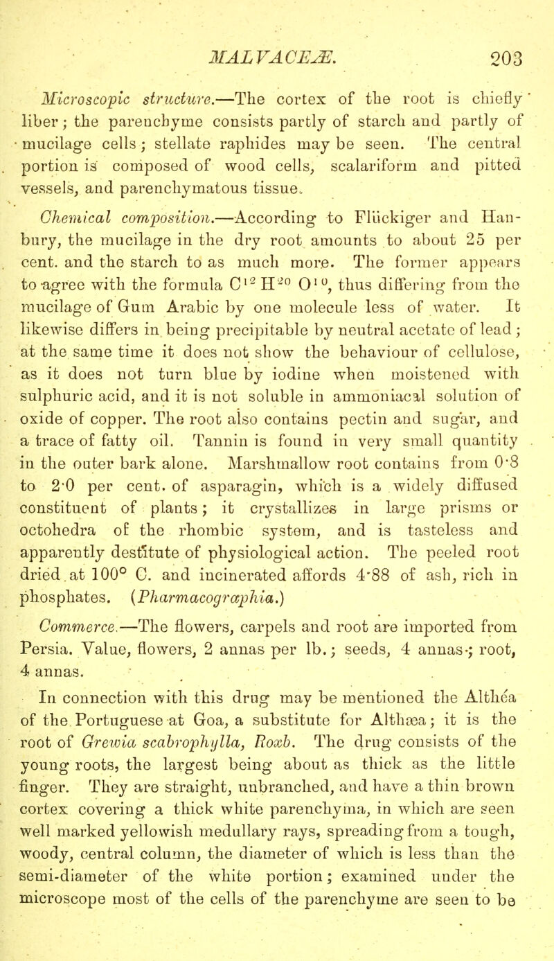 Microscopic structure.—The cortex of the root is chiefly * liber; the parenchynie consists partly of starch and partly of • mucilage cells; stellate raphides may be seen. The central portion is composed of wood cells, scalariform and pitted vessels, and parenchymatous tissue. Chemical composition.—According to Fllickiger and Han- bury, the mucilage in the dry root amounts to about 25 per cent, and the starch to as much more. The former appears to-agree with the formula C12 H'i0 0IU, thus differing from the mucilage of Gum Arabic by one molecule less of water. It likewise differs in being precipitable by neutral acetate of lead ; at the same time it does not show the behaviour of cellulose, as it does not turn blue by iodine when moistened with sulphuric acid, and it is not soluble in ammoniacal solution of oxide of copper. The root also contains pectin and sugar, and a trace of fatty oil. Tannin is found in very small quantity in the outer bark alone. Marshmallow root contains from 0*8 to 2*0 per cent, of asparagin, which is a widely diffused constituent of plants; it crystallizes in large prisms or octohedra of the rhombic system, and is tasteless and apparently destitute of physiological action. The peeled root dried , at 100° C. and incinerated affords 4*88 of ash, rich in phosphates. (Pharmacographia.) Commerce,—The flowers, carpels and root are imported from Persia. Value, flowers, 2 annas per lb.; seeds, 4 annas-; root, 4 annas. In connection with this drug may be mentioned the Althea of the. Portuguese at Goa, a substitute for Althosa; it is the root of Grewia scabrophylla, Roxb. The drug consists of the young roots, the largest being about as thick as the little finger. They are straight, unbranched, and have a thin brown cortex covering a thick white parenchyma, in which are seen well marked yellowish medullary rays, spreading from a tough, woody, central column, the diameter of which is less than the semi-diameter of the white portion; examined under the microscope most of the cells of the parenchyme are seen to be