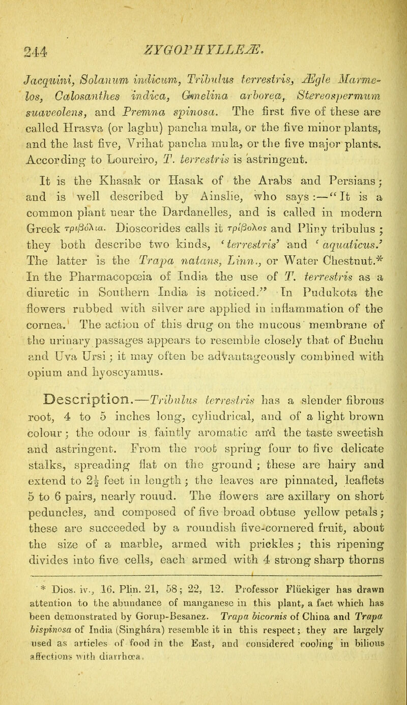 Jacquini, Solannm indicum, Tribulus terrestris, JEgle Marme- loSj Calosanthes indica, Qmelina arborea, Stereo sper mum suaveolens, and Premna spinosa. The first five of these are called Hrasva (or laghu) pancha mula, or the five minor plants, and the last five, Vrihat pancha inula, or the five major plants. According to Loureiro, T. terrestris is astringent. It is the Khasak or Hasak of the Arabs and Persians; and is well described by Ainslie, who says:—It is a common plant near the Dardanelles, and is called in modern Greek rpipohia. Dioscorides calls it rplfioXos and Pliny tribuius ; they both describe two kinds, 'terrestris' and (aquaiicus.' The latter is the Trapa natans, Linn,, or Water Chestnut.* In the Pharmacopoeia of India the use of T. terrestris as a diuretic in Southern India is noticed/* In Pudukota the flowers rubbed with silver are applied in inflammation of the cornea. The action of this drug on the mucous' membrane of the urinary passages appears to resemble closely that of Buchu and Uva Ursi; it may often be advantageously combined with opium and hyoscyamus. Description.—Tribulus terrestris has a slender fibrous root, 4 to 5 inches long, cylindrical, and of a light brown colour; the odour is. faintly aromatic an'd the taste sweetish and astringent. From the root spring four to five delicate stalks, spreading flat on the ground ; these are hairy and extend to feet in length ; the leaves are pinnated, leaflets 5 to 6 pairs, nearly rouud. The flowers are axillary on short peduncles, and composed of five broad obtuse yellow petals; these are succeeded by a roundish five-cornered fruit, about the size of a marble, armed with prickles; this ripening divides into five cells, each armed with 4 strong sharp thorns * Dies. iv.a 16. Plin. 21, 58; 22, 12. Professor Fliickiger has drawn attention to the abundance of manganese in this plant, a fact which has been demonstrated by Gorup-Besanez. Trapa bicornis of China and Trapa bispinosa of India (Singhara) resemble it in this respect; they are largely used as articles of food in the East, and considered coohng in bilious affections with diarrhoea,