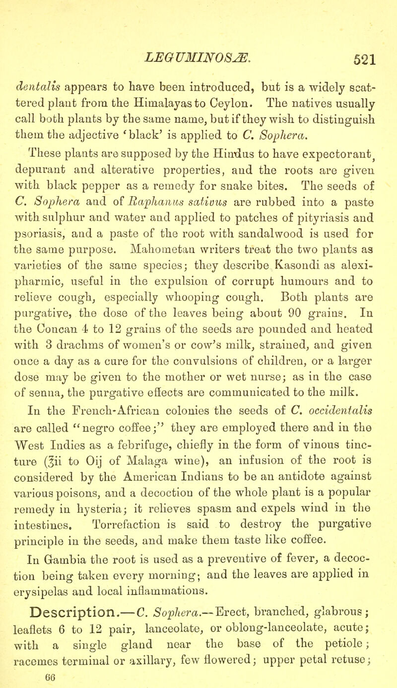 dentalis appears to have been introduced, but is a widely scat- tered plaut from the Himalayas to Ceylon. The natives usually call both plants by the same name, but if they wish to distinguish them the adjective ' black' is applied to C, Sophera. These plants are supposed by the Hindus to have expectorant^ depurant and alterative properties, and the roots are given with black pepper as a remedy for snake bites. The seeds of C. Sophera and of Itaphanus satiuus are rubbed into a paste with sulphur and water and applied to patches of pityriasis and psoriasis, and a paste of the root with sandalwood is used for the same purpose. Mahometan writers treat the two plants as varieties of the same species- they describe Kasondi as alexi- pharmic, useful in the expulsion of corrupt humours and to relieve cough, especially whooping cough. Both plants are purgative, the dose of the leaves being about 90 grains. In the Concan 4 to 12 grains of the seeds are pounded and heated with 3 drachms of women's or cow's milk, strained, and given once a day as a cure for the convulsions of children, or a larger dose may be given to the mother or wet nurse; as in the case of senna, the purgative effects are communicated to the milk. In the French-African colonies the seeds of C. occidentalis are called negro coffee; they are employed there and in the West Indies as a febrifuge, chiefly in the form of vinous tinc- ture (fii to Oij of Malaga wine), an infusion of the root is considered by the American Indians to be an antidote against various poisons, and a decoction of the whole plant is a popular remedy in hysteria; it relieves spasm and expels wind in the intestines. Torrefaction is said to destroy the purgative principle in the seeds, and make them taste like coffee. In Gambia the root is used as a preventive of fever, a decoc- tion being taken every morning; and the leaves are applied in erysipelas and local inflammations. Description.—C. Sophera.—Erect, branched, glabrous; leaflets 6 to 12 pair, lanceolate, or oblong-lanceolate, acute; with a single gland near the base of the petiole; racemes terminal or axillary, few flowered; upper petal retuse; 66