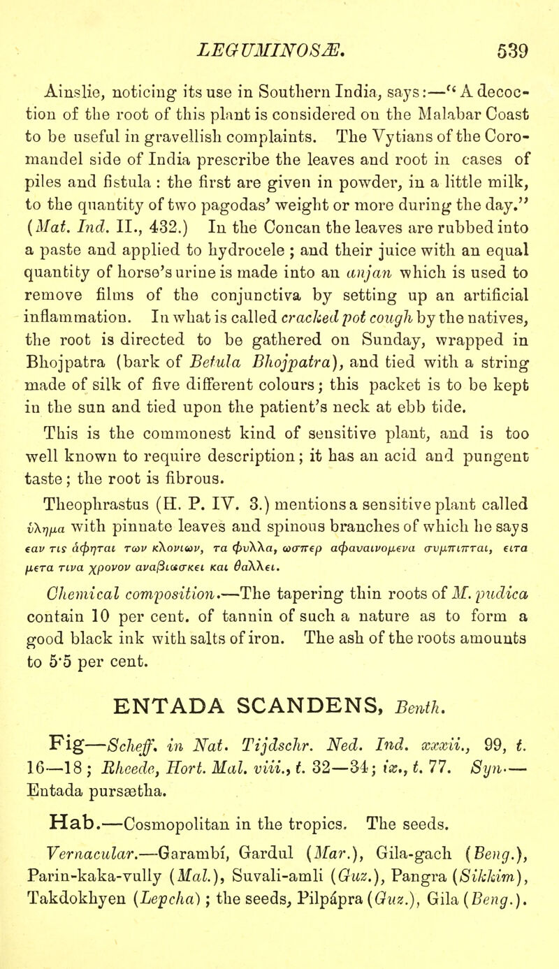 Ainslie, noticing its use in Southern India, says:—(i A decoc- tion of the root of this plant is considered on the Malabar Coast to be useful in gravellish complaints. The Vytians of the Coro- mandel side of India prescribe the leaves and root in cases of piles and fistula : the first are given in powder, in a little milk, to the quantity of two pagodas' weight or more during the day. (Mat. Ind. II., 432.) In the Concan the leaves are rubbed into a paste and applied to hydrocele ; and their juice with an equal quantity of horse's urine is made into an anjan which is used to remove films of the conjunctiva by setting up an artificial inflammation. In what is called cracked pot cough by the natives, the root is directed to be gathered on Sunday, wrapped in Bhojpatra (bark of Betula Bhojpatra), and tied with a string made of silk of five different colours; this packet is to be kept in the sun and tied upon the patient's neck at ebb tide. This is the commonest kind of sensitive plant, and is too well known to require description; it has an acid and pungent taste ; the root is fibrous. Theophrastus (EL P. IY. 3.) mentions a sensitive plant called vXrjfia with pinnate leaves and spinous branches of which he says €av ri9 d(f)r)Tai roiv kXovivv, ra $vKkar oxnrep a(j)avaivofX€va o-vixnnrTai, eira /xera riva xpovou avaftiotcrKei Kat daWct. Chemical composition.—The tapering thin roots of M.pudica contain 10 per cent, of tannin of such a nature as to form a good black ink with salts of iron. The ash of the roots amounts to 5*5 per cent. ENTADA SCANDENS, Bmih. Fig—Scheff. in Nat. Tijdschr. Ned. Ind. 99, t. 16—18 ; Rhcede, Hort. Hal viii., t 32—34; ix.91. 77. Syn— Entada pursgetha. Hab.—Cosmopolitan in the tropics. The seeds. Vernacular.—-Garambi, Gardul (Mar.), Gila-gach (Beng.), Parin-kaka-vully (Mai.), Suvali-amli (Guz.), Pangra (Sikkim), Takdokhyen (Lepcha); the seeds, Pilpapra (Guz.), Gila (Beng.).