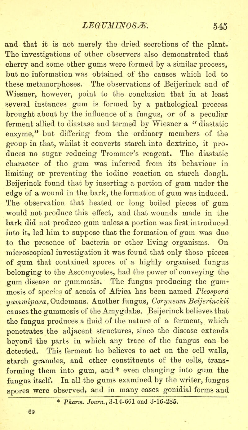 and that it is not merely the dried secretions of the plant. The investigations of other observers also demonstrated that cherry and some other gums were formed by a similar process, but no information was obtained of the causes which led to these metamorphoses. The observations of Beijerinck and of Wiesner, however, point to the conclusion that in at least several instances gum is formed by a pathological process brought about by the influence of a fungus, or of a peculiar ferment allied to diastase and termed by Wiesner a 6f diastatio enzyme/' but differing from the ordinary members of the group in that, whilst it converts starch into dextrine, it pro- duces no sugar reducing Trommer's reagent. The diastatic character of the gum was inferred from its behaviour in limiting or preventing the iodine reaction on starch dough. Beijerinck found that by inserting a portion of gum under the edge of a wound in the bark, the formation of gum was induced. The observation that heated or long boiled pieces of gum would not produce this effect, and that wounds made in khe bark did not produce gum unless a portion was first introduced into it, led him to suppose that the formation of gum was due to the presence of bacteria or other living organisms. On microscopical investigation it was found that only those pieces of gum that contained spores of a highly organised fungus belonging to the Ascomycetes, had the power of conveying the gum disease or gummosis. The fungus producing the gum- mosis of species of acacia of Africa has been named Pleospora gummipara, Oudemans. Another fungus, Cdryneum Beijerinckii causes the gummosis of the Amygdalae. Beijerinck believes that the fungus produces a fluid of the nature of a ferment, which penetrates the adjacent structures, since the disease extends beyond the parts in which any trace of the fungus can be detected. This ferment he believes to act on the cell walls, starch granules, and other constituents of the cells, trans- forming them into gum, and* even changing into gum the fungus itself. In all the gums examined by the writer, fungus spores were observed, and in many cases gOnidial forms and * Pharm. Jowrw., 3-14-661 and 3-16-285. 69
