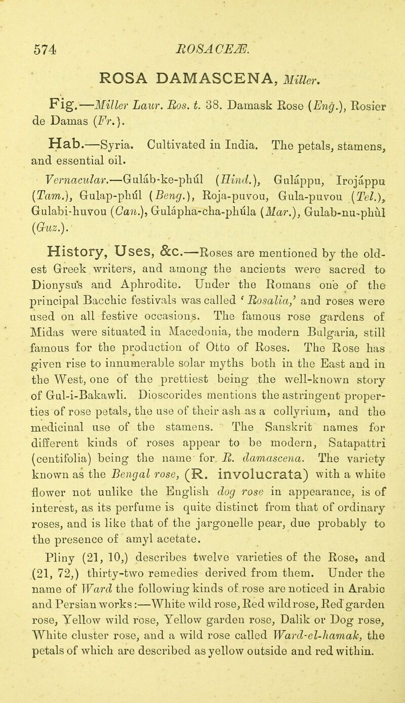 ROSA DAMASCENA, Miller. Fig.—Miller Laur. Ros. t. 38. Damask Rose (Eng.), Rosier de Dainas (Fr.). Hab.—Syria. Cultivated in India. The petals, stamens, and essential oil. Vernacular.—Gulab-ke-phul (Hind.), Gulappu, Irojappu (Tarn.), Gulap-phul (Beng.), Roja-puvou, Gula-puvou {Tel.), Gulabi-huvou (Can.), Gulapha-cha-phula (Mar.), Gulab-nu-phiil (Guz.). History, Uses, &C.—Roses are mentioned by the old- est Greek writers, and among the ancieots were sacred to Dionysus and Aphrodite. Under the Romans one of the principal Bacchic festivals was called ' Rosalia/ and roses were used on all festive occasions. The famous rose gardens of Midas were situated in Macedonia, the modern Bulgaria, still famous for the production of Otto of Roses. The Rose has given rise to innumerable solar myths both in the East and in the West, one of the prettiest being the well-known story of Gul-i-Bakawli. Dioscorides mentions the astringent proper- ties of rose petals, the use of their ash as a collyrium, and the medicinal use of the stamens. The Sanskrit names for different kinds of roses appear to be modern, Satapattri (centifolia) being the name for. R. damascena. The variety known as the Bengal rose, (R. involucrata) with a white flower not unlike the English dog rose in appearance, is of interest, as its perfume is quite distinct from that of ordinary roses, and is like that of the jargonelle pear, due probably to the presence of amyl acetate. Pliny (21, 10,) describes twelve varieties of the Rose, and (21, 72,) thirty-two remedies derived from them. Under the name of Ward the following kinds of rose are noticed in Arabic and Persian works:—White wild rose, Red wild rose, Red garden rose, Yellow wild rose, Yellow garden rose, Dalik or Dog rose, White cluster rose, and a wild rose called Ward-el-hamaJc, the petals of which are described as yellow outside and red within.