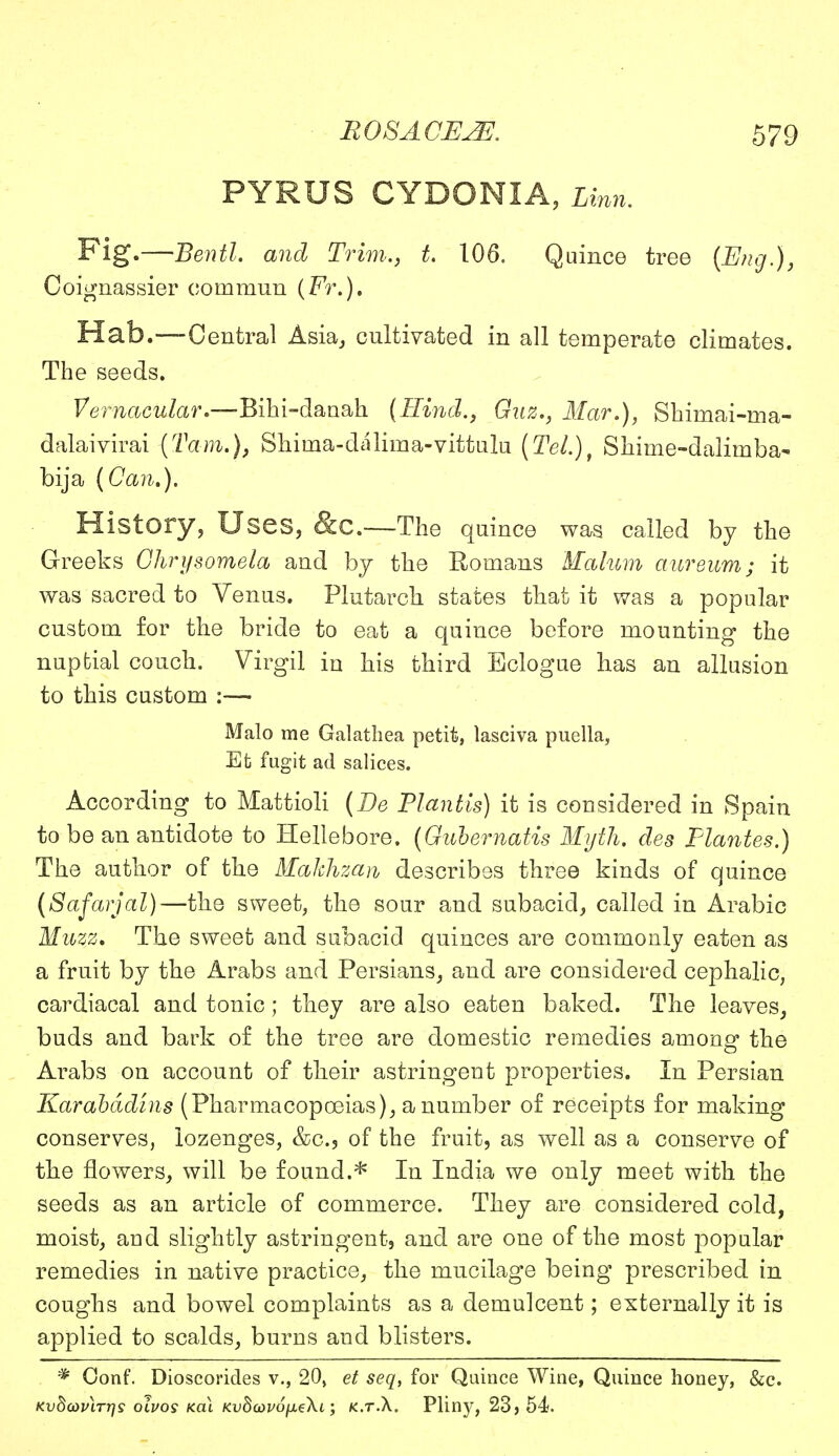 PYRUS CYDONXA, Linn. Fig.—Bentl. and Trim., t. 106. Quince tree {Eng.), Coignassier commun (Fr.). Hab.—Central Asia, cultivated in all temperate climates. The seeds. Vernacular.—Bihi-danah {Hind., Guz., Mar.), Shimai-ma- dalaivirai (Tarn.), Shima-dalima-vittulu (Tel.), Shime-dalimba* bija (Can.). History, Uses, &C.—The quince was called by the Greeks Ghrysomela and by the Romans Malum aiireum; it was sacred to Venus. Plutarch states that it was a popular custom for the bride to eat a quince before mounting the nuptial couch. Virgil in his third Eclogue has an allusion to this custom :— Malo me Galathea petit, lasciva puella, Et fugit ad salices. According to Mattioli (Be Flantis) it is considered in Spain to be an antidote to Hellebore. (Gubernatis Myth, des Plantes.) The author of the Makhzan describes three kinds of quince (Safarjal)—the sweet, the sour and subacid, called in Arabic Muzz. The sweet and subacid quinces are commonly eaten as a fruit by the Arabs and Persians, and are considered cephalic, cardiacal and tonic; they are also eaten baked. The leaves, buds and bark of the tree are domestic remedies among the Arabs on account of their astringent properties. In Persian Karabddins (Pharmacopoeias), a number of receipts for making conserves, lozenges, &c5 of the fruit, as well as a conserve of the flowers, will be found.* In India we only meet with the seeds as an article of commerce. They are considered cold, moist, and slightly astringent, and are one of the most popular remedies in native practice, the mucilage being prescribed in coughs and bowel complaints as a demulcent; externally it is applied to scalds, burns and blisters. * Conf. Dioscorides v., 20, et seq, for Quince Wine, Quince honey, &c. Kv8cov\rr]s oivos kou KuSco^o/xeXi; k.t.A. Pliny, 23 > 54.