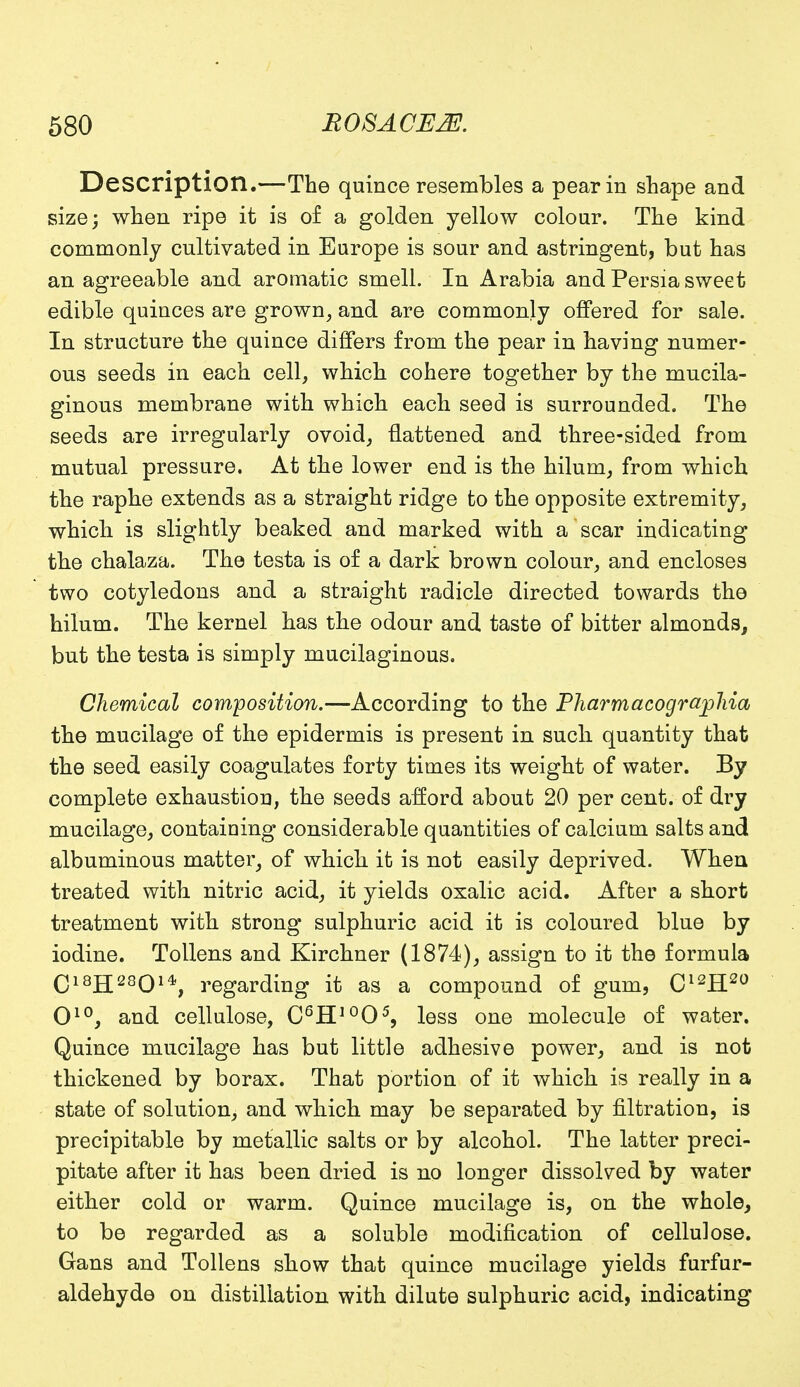 Description.—The quince resembles a pear in shape and size; when ripe it is of a golden yellow colour. The kind commonly cultivated in Europe is sour and astringent, but has an agreeable and aromatic smell. In Arabia and Persia sweet edible quinces are grown, and are commonly offered for sale. In structure the quince differs from the pear in having numer- ous seeds in each cell, which cohere together by the mucila- ginous membrane with which each seed is surrounded. The seeds are irregularly ovoid, flattened and three-sided from mutual pressure. At the lower end is the hilum, from which the raphe extends as a straight ridge to the opposite extremity, which is slightly beaked and marked with a scar indicating the chalaza. The testa is of a dark brown colour, and encloses two cotyledons and a straight radicle directed towards the hilum. The kernel has the odour and taste of bitter almonds, but the testa is simply mucilaginous. Chemical composition.—According to the Pharmacograplria the mucilage of the epidermis is present in such quantity that the seed easily coagulates forty times its weight of water. By complete exhaustion, the seeds afford about 20 per cent, of dry mucilage, containing considerable quantities of calcium salts and albuminous matter, of which it is not easily deprived. When treated with nitric acid, it yields oxalic acid. After a short treatment with strong sulphuric acid it is coloured blue by iodine. Tollens and Kirchner (1874), assign to it the formula C18H28014!, regarding it as a compound of gum, C12H20 O10, and cellulose, C6H10O5, less one molecule of water. Quince mucilage has but little adhesive power, and is not thickened by borax. That portion of it which is really in a state of solution, and which may be separated by filtration, is precipitable by metallic salts or by alcohol. The latter preci- pitate after it has been dried is no longer dissolved by water either cold or warm. Quince mucilage is, on the whole, to be regarded as a soluble modification of cellulose. Gans and Tollens show that quince mucilage yields furfur- aldehyde on distillation with dilute sulphuric acid, indicating