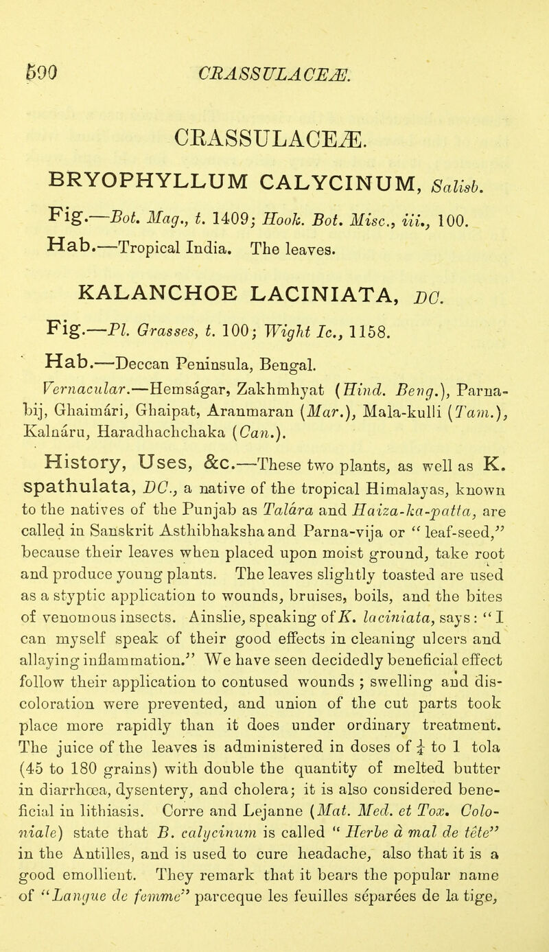 CRA SS TJLA CE2E. CBASSULACEiE. BRYOPHYLLUM CALYCINUM, Salisb. Fig.—Bot. Mag., t. 1409; Rook. Bot. Misc., Hi., 100. Hab.—Tropical India. The leaves. KALANCHOE LACINIATA, DC. Fig.—PL Grasses, ^ 100; Wight Ic, 1158. Hab.—Deccan Peninsula, Bengal. Vernacular.—Hemsagar, Zakhmhyat {Hind. Beng.), Parna- bij, Ghaimari, Ghaipat, Aranmaran (Mar.), Mala-kulli (Tarn.), Kalnaru, Haradhachchaka (Can.). History, Uses, &C—These two plants, as well as K. Spathlllata, DC, a native of the tropical Himalayas, known to the natives of the Punjab as Talara and Haiza-ka-patta, are called in Sanskrit Asthibhakshaand Parna-vija or leaf-seed, because their leaves when placed upon moist ground, take root and produce young plants. The leaves slightly toasted are used as a styptic application to wounds, bruises, boils, and the bites of venomous insects. Ainslie, speaking of K. laciniata, says:  I can myself speak of their good effects in cleaning ulcers and allaying inflammation.' We have seen decidedly beneficial effect follow their application to contused wounds ; swelling and dis- coloration were prevented, and union of the cut parts took place more rapidly than it does under ordinary treatment. The juice of the leaves is administered in doses of £ to 1 tola (45 to 180 grains) with double the quantity of melted butter in diarrhoea, dysentery, and cholera; it is also considered bene- ficial in lithiasis. Corre and Lejanne (Mat. Med. et Tox. Colo- niale) state that B. calycinum is called  Herbe a mal de tete in the Antilles, and is used to cure headache, also that it is a good emollient. They remark that it bears the popular name of Langue de femme parceque les feuilles separees de la tige,