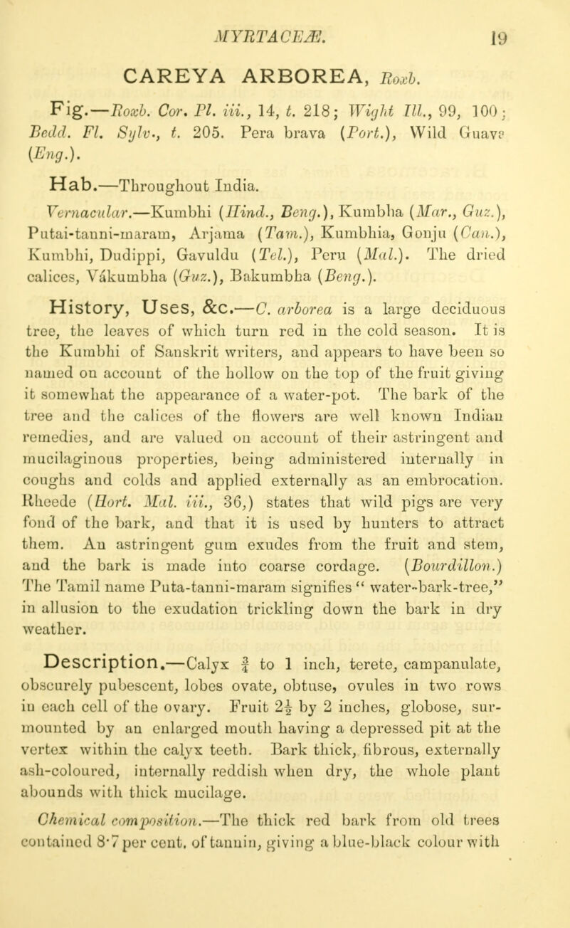 CAREYA ARBOREA, Roxb. Fig.—Roteb. Cor, PI. Hi., 14, t. 218; Wight III, 99, 100 j Bold. FL Sylv., t. 205. Pera brava (Port.), Wild Guavs Hab.—Throughout India. Vernacular.—Kumbhi (Hind., Bong.)i Kumbha (ilfar., 6rwz.), Putai-tanni-inarain, Arjama (Tam.), Kumbhia, Gonju (Can.), Kumbhi, Dudippi, Gavuldu [Tel.), Peru (Mai.). The dried calices, Yakuinbha (Guz.), Bakumbha (Beng.). History, Uses, &C.—C. arborea is a large deciduous tree, the leaves of which turn red in the cold season. It is the Kumbhi of Sanskrit writers, and appears to have been so named on account of the hollow on the top of the fruit giving it somewhat the appearance of a water-pot. The bark of the tree and the calices of the flowers are well known Indian remedies, and are valued on account of their astringent and mucilaginous properties, being administered internally in coughs and colds and applied externally as an embrocation. Hheede (Hort. Mai. Hi., 36,) states that wild pigs are very fond of the bark, and that it is used by hunters to attract them. An astringent gum exudes from the fruit and stem, and the bark is made into coarse cordage. (Bourdillon.) The Tamil name Puta-tanni-maram signifies  water-bark-tree, in allusion to the exudation trickling down the bark in dry weather. Description.—Calyx j to 1 inch, terete, campanulate, obscurely pubescent, lobes ovate, obtuse, ovules in two rows iu each cell of the ovary. Fruit by 2 inches, globose, sur- mounted by an enlarged mouth having a depressed pit at the vertex within the calyx teeth. Bark thick, fibrous, externally asli-coloured, internally reddish when dry, the whole plant abounds with thick mucilage. Chemical composition.—The thick red bark from old trees contained 8*7 per cent, of tannin, giving a blue-black colour with