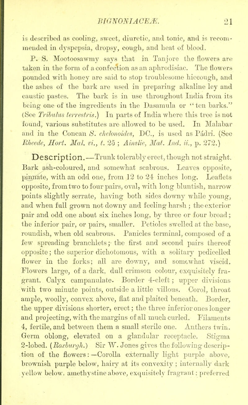 is described as cooling, sweet, diuretic, and tonic, and is recom- mended in dyspepsia, dropsy, cough, and lieat of blood. P. S. Mootoosawmy says that in Tanjore the flowers are taken in the form of a confection as an aphrodisiac. The flowers pounded with honey are said to stop troublesome hiccough, and the ashes of the bark are used in preparing alkaline ley and caustic pastes. The bark is in use throughout India from its being one of the ingredients in the Dasamula or  ten barks, (See Trihulus terrestris,) In parts of India where this tree is not found, various substitutes are allowed to be used. In Malabar and in the Concan 8. chelonoicleSy DC, is used as Padri. (See Rheede^ Hort, 3Ial. vi., t, 25 ; Ainslie, Mat. IiuL ii., p. 272.) Description.—Trunk tolerably erect, though not straight. Bark a/feh-coloured, and somewhat scabrous. Leaves opposite^ ]_:iijyiate, with an odd one, from 12 to 24 inches long. Leaflets opposite, from two to four pairs, oval, with long bluntish, narrow points slightly serrate, having both sides downy while youngs and when full grown not downy and feeling harsh ; the exterior pair and odd one about six inches long, by three or four broad; the inferior pair, or pairs, smaller. Petioles swelled at the base, roundish, when old scabrous. Panicles terminal, composed of a few spreading branchlets ;• the first and second pairs thereof opposite; the superior dichotomous, with a solitary pedicelled flower in the forks; all are downy, and somewhat viscid. Flowers large, of a dark, dull crimson colour, exquisitely fra- grant. Calyx campanulate. Border 4-cleft; upper divisions with two minute points, outside a little villous. Corel, throat ample, woolly, convex above, flat and plaited beneath. Border, the upper divisions shorter, erect; the three inferior ones longer and projecting, with the margins of all much curled. Filaments 4, fertile, and between them a small sterile one. Anthers twin. Germ oblong, elevated on a glandular receptacle. Stigma 2-lobed. {Roxhurijli.) Sir W. Jones gives the following-descrip- tion of the flowers: —Corolla externally light purple above, brownish purple below, hairy at its convexity ; internally dark yellow below, amethystine above, exquisitely fragrant: preferred
