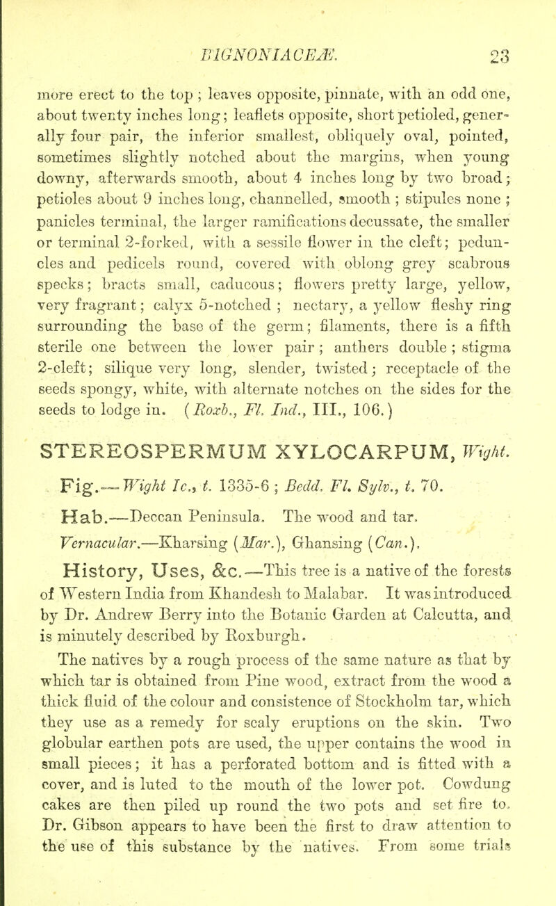 more erect to the top ; leaves opposite, pinnate, with an odd one, about twenty inches long; leaflets opposite, short petioled, gener- ally four pair, the inferior smallest, obliquely oval, pointed, sometimes slightly notched about the margins, when young downy, afterwards smooth, about 4 inches long by two broad; petioles about 9 inches long, channelled, smooth ; stipules none ; panicles terminal, the larger ramifications decussate, the smaller or terminal 2-forked, with a sessile flower in the cleft; pedun- cles and pedicels round, covered with oblong grey scabrous specks; bracts small, caducous; flowers pretty large, yellow^ very fragrant; calyx 5-notched ; nectarj^, a yellow fleshy ring surrounding the base of the germ; filaments, there is a fifth sterile one between the lower pair; anthers double ; stigma 2-cleft; silique very long, slender_, twisted; receptacle of the seeds spongy, white, with alternate notches on the sides for the seeds to lodge in. (Eoxb,, FL Inch, III., 106.) STEREOSPERMUM XYLOCARPUM, Wight Y\g,--Wight Ic, L 1335-6 ; Bedd, FL Sylv., t. 70. Hab.~Deccan Peninsula, The wood and tar. Vernacular,—Kharsing [Mar.], Ghansing [Can.), History, Uses, &C.—This tree is a native of the forest® of Western India from Khandesh to Malabar, It was introduced by Dr. Andrew Berry into the Botanic Garden at Calcutta, and is minutely described by Roxburgh. The natives by a rough process of the same nature as that by which tar is obtained from Pine wood, extract from the wood a thick fluid of the colour and consistence of Stockholm tar, which they use as a remedy for scaly eruptions on the skin. Two globular earthen pots are used, the upper contains the wood in small pieces; it has a perforated bottom and is fitted with a cover, and is luted to the mouth of the lower pot. Cowdung cakes are then piled up round the two pots and set fire to. Dr. Gibson appears to have been the first to draw attention to the use of this substance by the natives. From_ some trials