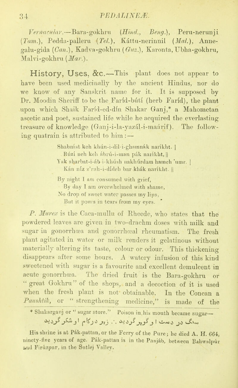 7'^(?r/?r/r?//V(r.—Bara-goklim [Kind., Beug.), Peru-nerunji (Tarn.), Pedda-pallerii (Tel.), Kattu-nerinnil (MaL), Aniie- galu-gida [Can.], Kadva-gokhru ((r^rs,), Karonta, Ubha-gokhru^ Malvi-goklirii [Mar.). History5 Uses, Sc.—This plant does not appear to have been used medicinally by the ancient Hindus, nor do we know of any Sanskrit name for it. It is supposed by Dr, Moodin Sheriff to be the Farld-buti (herb Farld), the plant upon which Shaik Farfd-ed«dfn Shakar Ganj,* a Mahometan ascetic and poet, sustained life while he acquired the everlasting treasure of knowledge (Ganj-i-la-yazal-i-maarif). The follow- ing quatrain is attributed to him : — Shabnist keh khLin-i-dil-i-gluuiinak nankht. | Ruzi neh keh abm-i-man pak nankht, || Yak sharbat-i-ab-i-kh(ish nakhurdam hameh 'iimr. | Kan niz z'rah-i-dideh bar khak nankht. |1 F3y night I am consumed with giief, By day I am overwhehned with shame, No drop of sweet water passes my lips, But it pours in tears from my eyes. P. Murex is the Caca-muUu of Rheede, who states that the powdered leaves are given in two=drachm doses with milk and sugar in gonorrhoea and gonorrhceal rheumatism. The fresh plant agitated in water or milk renders it gelatinous without materially altering its taste, colour or odour. This thickening disappears after some hours. A watery infusion of this kind sweetened with sugar is a favourite and excellent demulcent in acute gonorrhoea. The dried fruit is the Bara-gokhru or great Gokhru of the shops, and a decoction of it is used when the fresh plant is not obtainable. In the Concan a Paiishtik, or  strengthening medicine,'' is made of the * Sliakarganj or  sugar store. Poison in,his mouth became sugar— His shrine is at Pak-pattan, or the Ferry of the Pure; he died A. H. 664, ninety-five years of age. Pak-pattan is in the Panjab, between Bahwalpur and Firuzpur, in the Sutlej Valley.