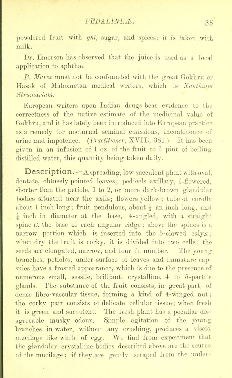 PEI) ALINE powdered fruit with ghi, sugar, and spices; it is taken with milk. Dr. Emerson has observed that the juice is used as a local application to aphthae. P. Miirex must not be confounded with the great Gokhru or Hasak of Mahometan medical writers, which is Xanthium Stnimariimi. European writers upon Indian drugs bear evidence to the correctness of the native estimate of the medicinal value of Gokhru, and it has lately been introduced into European practice as a remedy for nocturnal seminal emissions, incontinence of urine and impotence. {Practitioner, XYIL, 381.) It has been given in an infusion of 1 oz, of the fruit to 1 pint of boiling distilled water, this quantity being taken daily. Description.—-A spreading, low succulent plant with oval, dentate, obtusely pointed leaves; pedicels axillary, 1-flowered, shorter than the petiole, 1 to 2, or more dark-brown glandular bodies situated near the axils; flowers yellow; tube of corolla about 1 inch long; fruit pendulous, about ^ an inch long, and J inch in diameter at the base, 4-angled, with a straight spine at the base of each angular ridge; above the spines is a narrow portion which is inserted into the 5-clawed calyx ; when dry the fruit is corky, it is divided into two cells; the seeds are elongated, narrow, and four in number. The young branches, petioles, under-surface of leaves and immature cap- sules have a frosted appearance, which is due to the presence of numerous small, sessile, brilliant, crj^stalline, 4 to 5-partite glands. The substance ol the fruit consists, in great part, of dense fibro-vascular tissue, forming a kind of 4-winged nut, the corky part consists of delicate cellular tissue; when fresh it is green and suc:vdent. The fresh plant has a peculiar dis- agreeable musky odour. Simple agitation of the young branches in water, without any crushing, produces a viscid irmcilage like w^hite of egg. We find from experiment that the glandular- crystalline bodies described above are the source of the m-ucilage ; if they,are gently scraped from the under-
