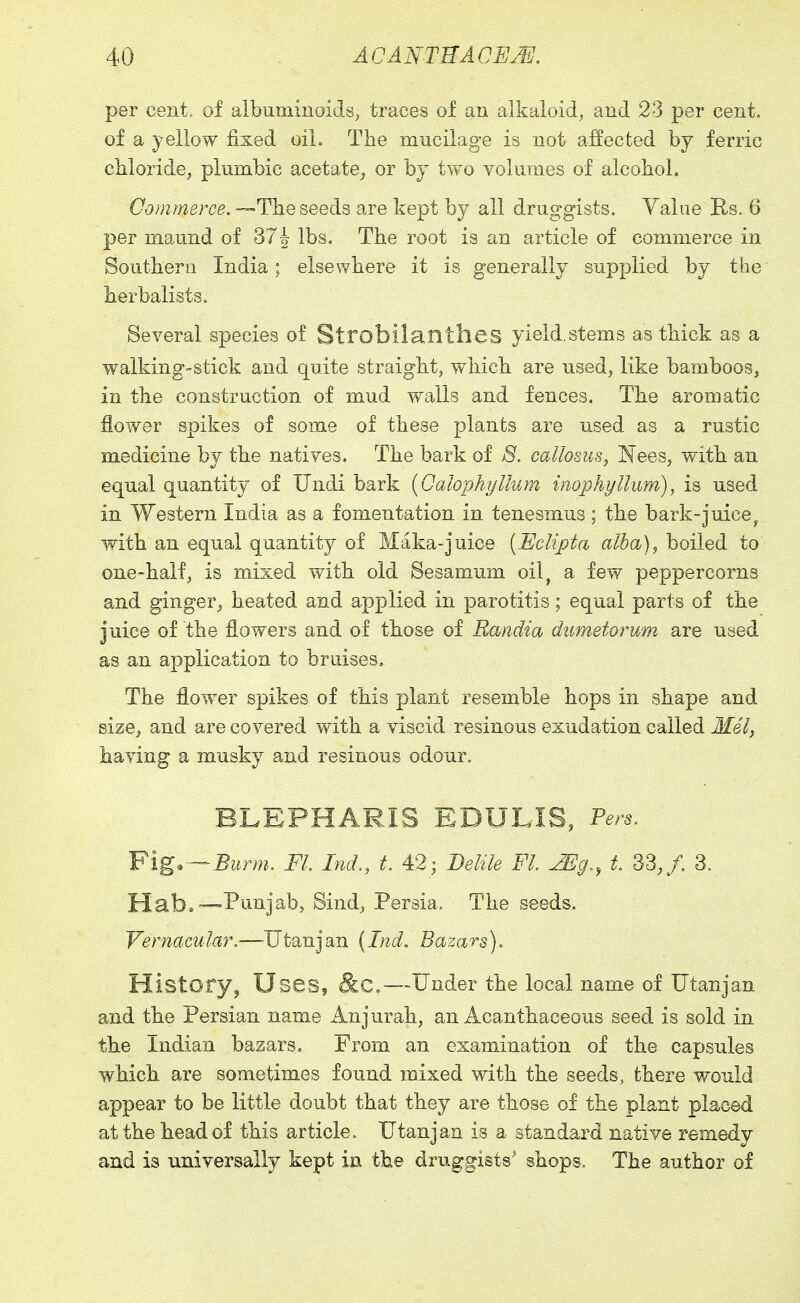 per cent, of albuminoids, traces of an alkaloid, and 23 per cent, of a yellow fixed oil. The mucilage is not affected by ferric chloride, plumbic acetate, or by tvvo volumes of alcohol. Commerce, —The seeds are kept by all druggists. Value Rs. 6 per maund of 37^ lbs. The root is an article of commerce in Southern India; elsewhere it is generally supplied by the herbalists. Several species of Strobilanthes yield.stems as thick as a walking-stick and quite straight, which are used, like bamboos^ in the construction of mud walls and fences. The aromatic flower spikes of some of these plants are used as a rustic medicine by the natives. The bark of S. callosus, Kees, with an equal quantity of Undi bark {Qalophyllum mophyllum), is used in Western India as a fomentation in tenesmus ; the bark-juice^ with an equal quantity of Maka-juice [EcUpta alba), boiled to one-half, is mixed with old Sesamum oil^ a few peppercorns and ginger, heated and applied in parotitis; equal parts of the juice of the flowers and of those of Randia dumetorum are used as an application to bruises. The flower spikes of this plant resemble hops in shape and size, and are covered with a viscid resinous exudation called Mel, having a musky and resinous odonr. BLEPHARIS EDULIS, Ters. ¥ig.—Burm, FL Ind,, t. 42; Delile Fl ^g., t. 33,/ 3, Hab.—Piinjab, Bind, Persia. The seeds. Vernacular.—Utanjan [Ind. Bazars), History, Uses, Sic,—Under the local name of Utanjan and the Persian name Anjurah, an Acanthaceous seed is sold in the Indian bazars. From an examination of the capsules which are sometimes found mixed with the seeds, there would appear to be little doubt that they are those of the plant placed at the head of this article. Utanjan is a standard native remedy and is universally kept in the druggists' shops. The author of