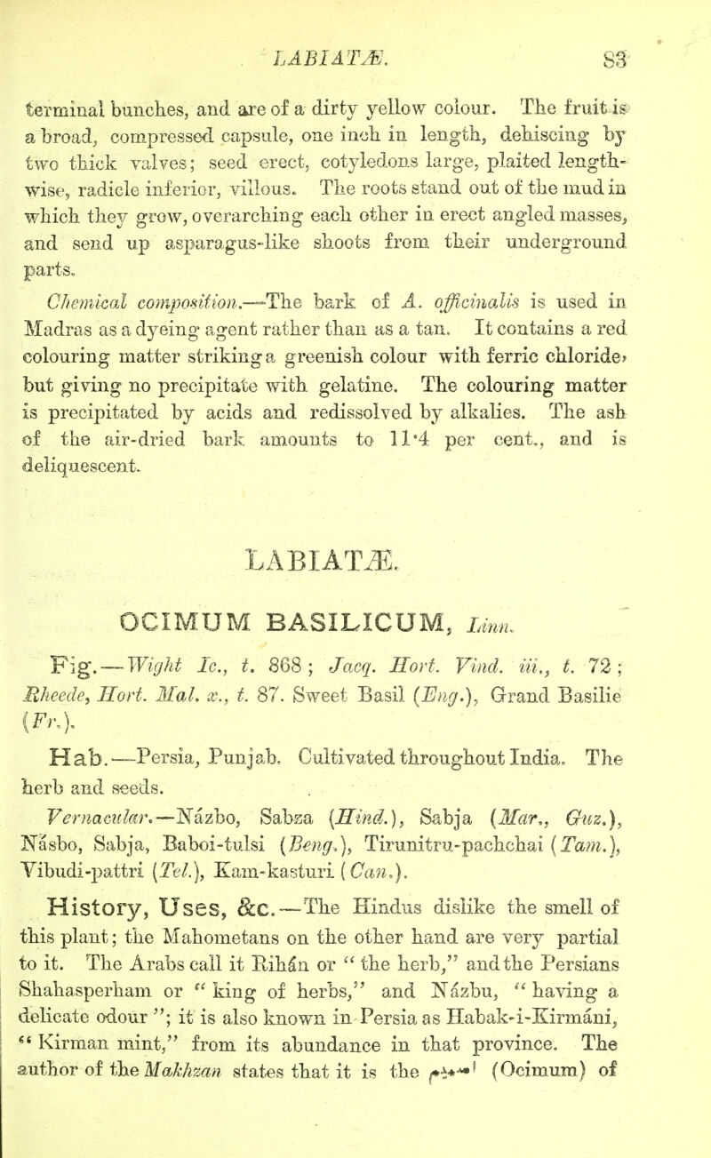terminal bunches, and are of a dirty yellow colour. The fruit is a broad, compressed capsule, one inch in length, dehiscing b}^ two thick valves; seed erect, cotyledons large, plaited length- wise, radicle inferior, villous. The roots stand out of the mud in which they grow, overarching each other in erect angled masses, and send up asparagus-like shoots from their underground partSo C/iemkal composition.—The bark of A, officinalis is used in Madras as a dyeing agent rather than as a tan. It contains a red colouring matter striking a greenish colour with ferric chloride? but giving no precipitate with gelatine. The colouring matter is precipitated by acids and redissolved by alkalies. The ash of the air-dried bark amounts to 11*4 per cent,, and is deliquescent. LABIATE. OCIMUM BASILICUM, Linn. Fig. —Wight Ic, t. 868; Jacq. Hort. Viiid. Hi., t. 72; Rheede, Hort. Mai. x., t. 87. Sweet Basil {Eng.), Grand Basilie {Fr,). Hab. —Persia, Punjab. Cultivated throughout India» The herb and seeds. Vernamlar.—Nazbo, Sabza {Ilind.)^ Sabja (Mar,, Gtiz.), Nasbo, Sabja, Baboi-tulsi (Beng.), Tirunitru-pachchai (Ta?n.), Vibudi-pattri (Tel.), Xam-kasturi {(7a?^o), History, Uses, &C.—The Hindus dislike the smell of this plant; the Mahometans on the other hand are very partial to it. The Arabs call it Rih^n or  the herb, and the Persians Shahasperham or king of herbs, and Nazbu, having a delicate odour ; it is also known in Persia as Habak-i-Kirmani, Kirman mint,^' from its abundance in that province. The 2MfhoT of iheMakhzan states that it is the (Ocimum) of