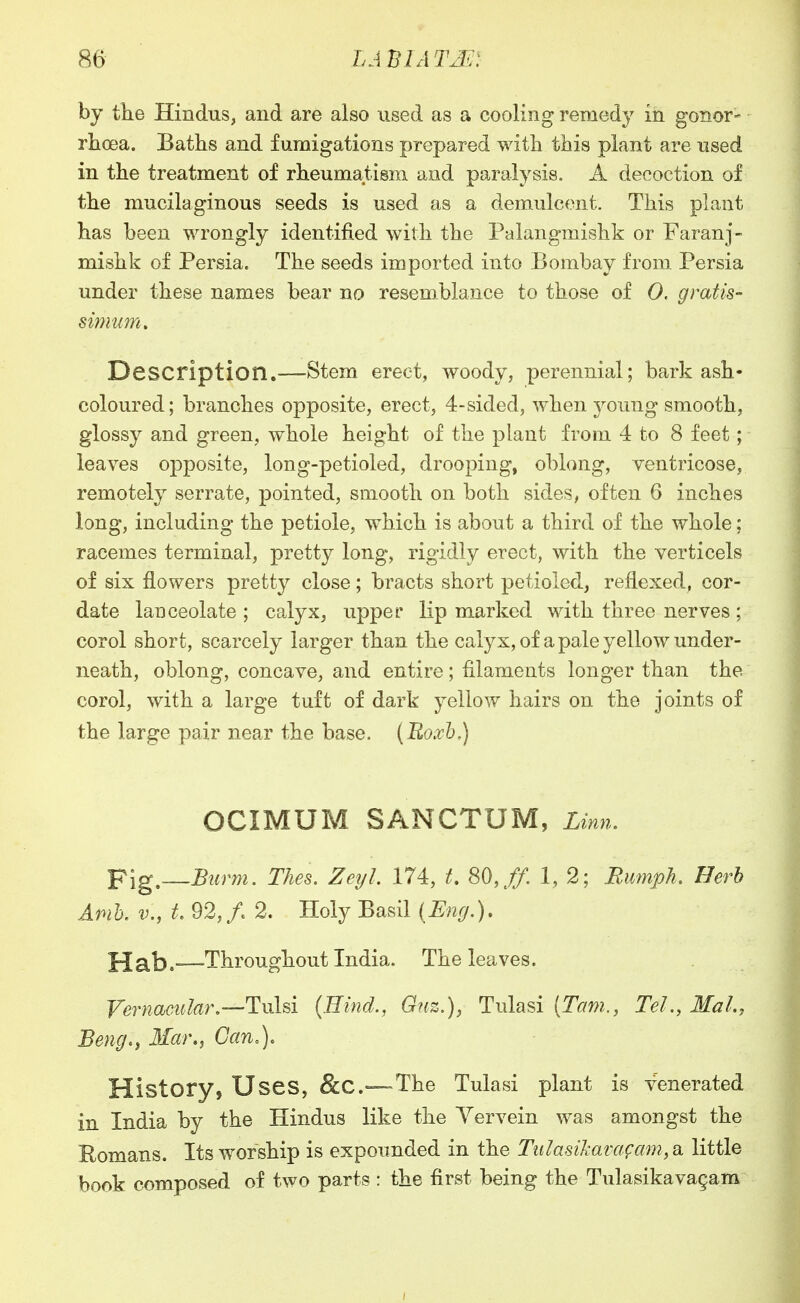 by tlie Hindus, and are also used as a cooling remedy in gonor- rhoea. Baths and fumigations prepared with this plant are used in the treatment of rheumatism and paralysis. A decoction of the mucilaginous seeds is used as a demulcent. This plant has been wrongly identified with the Palangmishk or Faranj- mishk of Persia. The seeds imported into Bombay from Persia under these names bear no resemblance to those of 0. gratis- simmn. Description.—Stem erect, woody, perennial; bark ash- coloured; branches opposite, erect, 4-sided, when young smooth, glossy and green, whole height of the plant from 4 to 8 feet; leaves opposite, long-petioled, drooping, oblong, ventricose, remotely serrate, pointed, smooth on both sides, often 6 inches long, including the petiole, which is about a third of the whole; racemes terminal, pretty long, rigidly erect, with the verticels of six flowers pretty close; bracts short petioled, reflexed, cor- date lanceolate; calyx, upper lip marked with three nerves; corol short, scarcely larger than the calyx, of a pale yellow under- neath, oblong, concave, and entire; filaments longer than the corol, with a large tuft of dark yellow hairs on the joints of the large pair near the base. {Uoxh) OCIMUM SANCTUM, Linn. p\g,^Burm. Thes. Zeyl. 174, t, 80,//. 1, 2; Bumph. Herb ApiK v., L 92,/ 2. Holy Basil {Eng.), Ho^b,—Throughout India. The leaves. Vernacular,—llwM {Hind., Guz.), Tulasi iTcim., Tel., Mai,, Beng., Mar,, Can,), History, Uses, &C.=—The Tulasi plant is venerated in India by the Hindus like the Yervein was amongst the Romans. Its worship is expounded in the Tulasikavafam,ei little book composed of two parts : the first being the Tulasikavagam