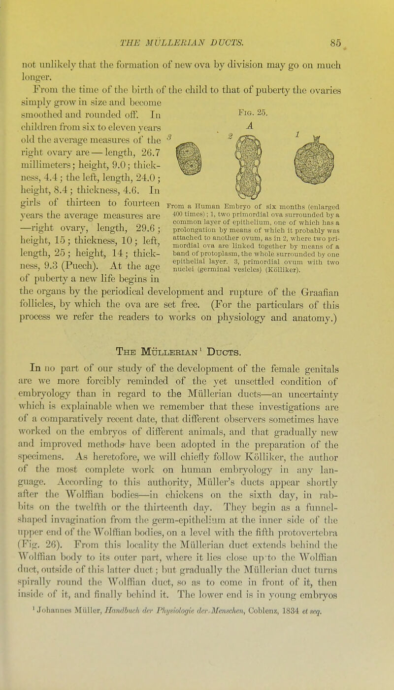 THE MIJLLEBIAN DUCTS. 86 not unlikely tliat the formation of new ova by division may go on much longer. From the time of the birth of the child to that of puberty the ovaries simply grow in siize and become smoothed and rounded off. In children from six to eleven years old the average measures of the right ovary are — length, 26.7 millimeters; height, 9.0; thick- ness, 4.4; the left, length, 24.0 ; height, 8.4; thickness, 4.6. In girls of thirteen to fourteen vears the average measures are —right ovary, length, 29.6; height, 15; thickness, 10; left, length, 25; height, 14; thick- ness, 9.3 (Puech). At the age of puberty a new life begins in the organs by the periodical development and rupture of the Graafian follicles, by which the ova are set free. (For the particulars of this process we refer the readers to works on physiology and anatomy.) From a Human Embryo of six months (enlarged 400 times); 1, two primordial ova surrounded by a common layer of epithelium, one of which has a prolongation by means of which it probably was attached to another ovum, as in 2, where two pri- mordial ova are linked together by means of a band of protoplasm, the whole surrounded by one epithelial layer. 3, primordial ovum with two nuclei (germinal vesicles) (Kijlliker). The Mullerian^ Ducts. In no part of our study of the development of the female genitals are we more forcibly reminded of the yet unsettled condition of embryology than in regard to the Miilleriau ducts—an uncertainty which is explainable when we remember that these investigations are of a comparatively recent date, that different observers sometimes have worked on the embryos of different animals, and that gradually new and improved methods- have been adopted in the preparation of the specimens. As heretofore, we will chiefly folloNV Kolliker, tlie author of the most complete work on human embryology in any lan- guage. According to this authority, Midler's ducts apjiear shortly after the Wolffian bodies—in chickens on the sixth day, in i-ab- bits on the twelfth or the tliirteenth day. They begin as a funnel- shaped invagination from the germ-epithelium at the inner side of the upper end of the Wolffian bodies, on a level with the fifth protovertebra (Fig. 26). From this locality the Miillcrian duct extends bcliiiid the Wolffian body to its outer part, where it lies close np to the Wolflian duct, outside of this latter duct; hut gradually the Miilleriau duct turns spirally round the Wolffian duct, so as to come in front of it, then inside of it, and finally behind it. The lower end is in young embryos ' Johannes Miiller, Hnndbtich der Phymologie dcr.Memdmi, Coblenz, 1834 etseq.