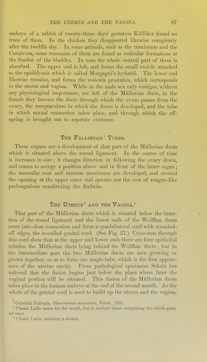 embryo of ii rabbit of twenty-three days' gestation Kolliker found no trace of them. In the eliicken they disappeared likewise completely after the twelfth day. In some animals, such as the ruminants and the Caruivora, some remnants of them are found as vesicular formations at the fundus of the bladder. In man the whole central part of them is absorbed. The upper end is left, and forms the small vesicle attached to the epididymis which is called Morgagni's hydatid. The lower end likewise remains, and forms the vesicula jDrostatica, which corresponds to the uterus and vagina. While in the male sex only vestiges, without any physiological importance, are left of the Mtillerian ducts, in the female they become the ducts through which the ovum passes from the ovary, the receptaculum in ^vh^ch the foetus is developed, and the tube in which sexual connection takes ])lace, and through which the off- spring is brought out to separate existence. The Fallopian^ Tubes. These organs are a development of that part of the Miillerian ducts which is situated above the round ligament. In the coiu'se of time it increases in size; it changes direction in following the ovary down, and comes to occupy a position above and in front of the latter organ; the muscular coat and mucous membrane are developed, and around the opening at the upper outer end sprouts out the row of tongue-like prolongations constituting the fimbriae. The Uterus^ and the Vagina.^ That part of the Miillerian ducts which, is situated below the inser- tion of the round ligament and the lower ends of the Wolffian ducts enter into close connection and form a quadrilateral cord with rounded- ofl' edges, the so-called genital cord. (See Fig. 27.) Cross-cuts thi'ough this cord show that at the upper and lower ends there are four epithelial tubules, the Miillerian ducts lying behind the Wolffian ducts ; but in the intermediate part the two Miillerian ducts are seen growing or grown together, so as to form one single tube, which is the first appear- ance of the uterine cavity. From pathological specimens Schatz has inferred that the fusion liegins just below the place where later the vaginal portion will be situated. This fusion of the Miillerian ducts takes place in the human embryo at the end of the second month. As the whole of the genital cord is used to build up the uterus and the vagina, ' rinl)riele Fallopio, Ohseniati'ones analomictv, Venet., IGGl. ' (Massic Latin name for the womb, but in ancient times comprising tlie whole geni- tal tract. ■' T'lassio I>atin, meaning a sheath.