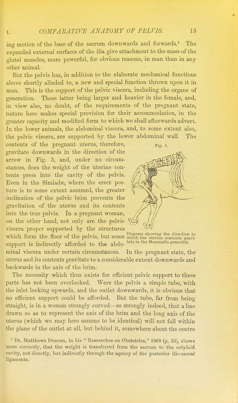 [. Pig. 3. in°- motion of the hase of the sacrum downwards and forwards.1 The expanded external surfaces of the ilia give attachment to the mass of the glutei muscles, more powerful, for obvious reasons, in man than in any other animal. But the pelvis has, in addition to the elaborate mechanical functions above shortly alluded to, a new and special function thrown upon it in man. This is the support of the pelvic viscera, including the organs of generation. These latter being larger and heavier in the female, and, in view also, no doubt, of the requirements of the pregnant state, nature here makes special provision for their accommodation, in the greater capacity and modified form to which we shall afterwards advert. In the lower animals, the abdominal viscera, and, to some extent also, the pelvic viscera, are supported by the lower abdominal wall. The contents of the pregnant uterus, therefore, gravitate downwards in the direction of the arrow in Fig. 3, and, under no circum- stances, does the weight of the uterine con- tents press into the cavity of the pelvis. Even in the Simiadse, where the erect pos- ture is to some extent assumed, the greater inclination of the pelvic brim prevents the gravitation of the uterus and its contents into the true pelvis. In a pregnant woman, on the other hand, not only are the pelvic viscera proper supported by the structures i • i p 'r a z 1 • l inagram snowing the direction in Which form the floor Of the pelvis, but Some which the uterine contents gravi- SUpport is indirectly afforded to the abdo. tate in the Mammalia generally. minal viscera under certain circumstances. In the pregnant state, the uterus and its contents gravitate to a considerable extent downwards and backwards in the axis of the brim. The necessity which thus exists for efficient pelvic support to these parts has not been overlooked. Were the pelvis a simple tube, with the inlet looking upwards, and the outlet downwards, it is obvious that no efficient support could be afforded. But the tube, far from being straight, is in a woman strongly curved—so strongly indeed, that a line drawn so as to represent the axis of the brim and the long axis of the uterus (which we may here assume to be identical) will not fall within the plane of the outlet at all, but behind it, somewhere about the centre 1 Dr. Matthews Duncan, in his Researches on Obstetrics, 1868 (p. 55), shows more correctly, that the weight is transferred from the sacrum to the cotyloid cavity, not directly, but indirectly through the agency of the posterior ilio-sacral ligaments.