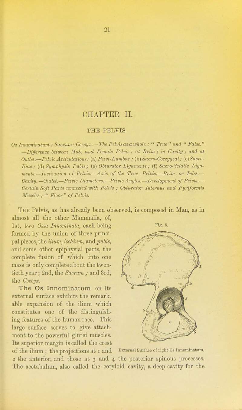 CHAPTER II. THE PELVIS. Os Innominatum : Sacrum: Coccyx.—The Pelvis as a whole : True and False. —Difference between Male and Female Pelvis : at Brim ; in Cavity ; and at Outlet.—Pelvic Articulations: (a) Pelvi-Ltimbar j (b) Sacro-Coccygeal; {c)Sacro- Eiac; (d) Symphysis Pubis; (e) Obturator Ligaments ; (I) Sacro-Sciatic Liga- ments.—Inclination of Pelvis.—Axis of the True Pelvis.—Brim or Inlet.— Cavity.—Outlet.—Pelvic Diameters.—Pelvic Angles.—Development of Pelvis.— Certain Soft Parts connected with Pelvis ; Obturator Iniernus and Pyriformis Muscles ; Floor of Pelvis. The Pelvis, as has already been observed, is composed in Man, as in almost all the other Mammalia, of, formed by the union of three princi- pal pieces, the ilium, ischium, and pubis, and some other epiphysial parts, the complete fusion of which into one mass is only complete about the twen- tieth year; 2nd, the Sacrum ; and 3rd, the Coccyx. The Os Innominatum on its external surface exhibits the remark- able expansion of the ilium which constitutes one of the distinguish- ing features of the human race. This large surface serves to give attach- ment to the powerful glutei muscles. Its superior margin is called the crest Of the ilium ; the projections at I and External Surfaoo of right Os Innominatum. 2 the anterior, and those at 3 and 4 the posterior spinous processes. The acetabulum, also called the cotyloid cavity, a deep cavity for the
