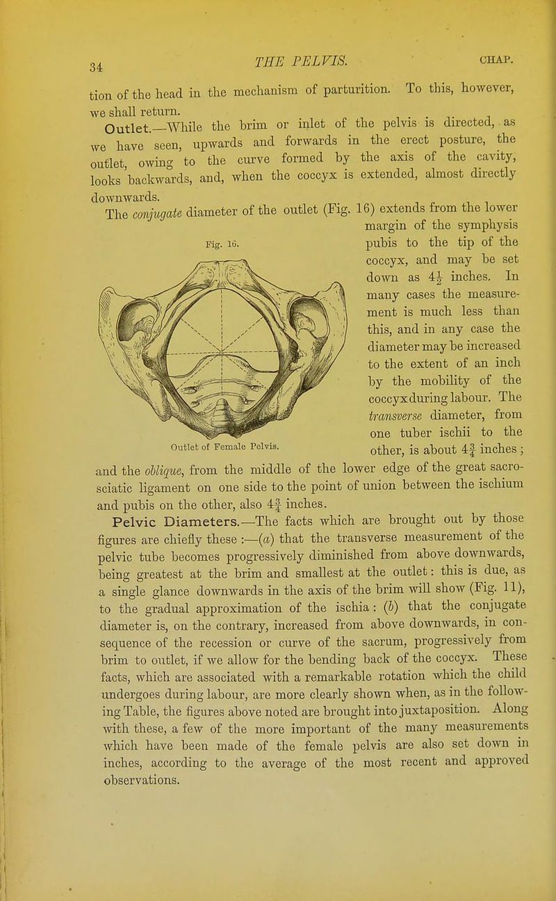tion of the head in the mechanism of parturition. To this, however, we shall return. Outlet.—While the brim or inlet of the pelvis is directed, as we have seen, upwards and forwards in the erect posture, the outlet, owing to the curve formed by the axis of the cavity, looks 'backwards, and, when the coccyx is extended, almost directly downwards. The conjugate diameter of the outlet (Fig. 16) extends from the lower margin of the symphysis pubis to the tip of the coccyx, and may be set clown as 4|- inches. In many cases the measure- ment is much less than this, and in any case the diameter may be increased to the extent of an inch by the mobility of the coccyx during labour. The transverse diameter, from one tuber ischii to the other, is about 4§ inches ; and the oblique, from the middle of the lower edge of the great sacro- sciatic ligament on one side to the point of union between the ischium and pubis on the other, also 4f inches. Pelvic Diameters.—The facts which are brought out by those figures are chiefly these :—(a) that the transverse measurement of the pelvic tube becomes progressively diminished from above downwards, being greatest at the brim and smallest at the outlet: this is due, as a single glance downwards in the axis of the brim will show (Fig. 11), to the gradual approximation of the ischia: (b) that the conjugate diameter is, on the contrary, increased from above downwards, in con- sequence of the recession or curve of the sacrum, progressively from brim to outlet, if we allow for the bending back of the coccyx. These facts, which are associated with a remarkable rotation which the child undergoes during labour, are more clearly shown when, as in the follow- ing Table, the figures above noted are brought into juxtaposition. Along with these, a few of the more important of the many measurements which have been made of the female pelvis are also set down in inches, according to the average of the most recent and approved observations. Fig. 10. Outlet of Female Pelvis.