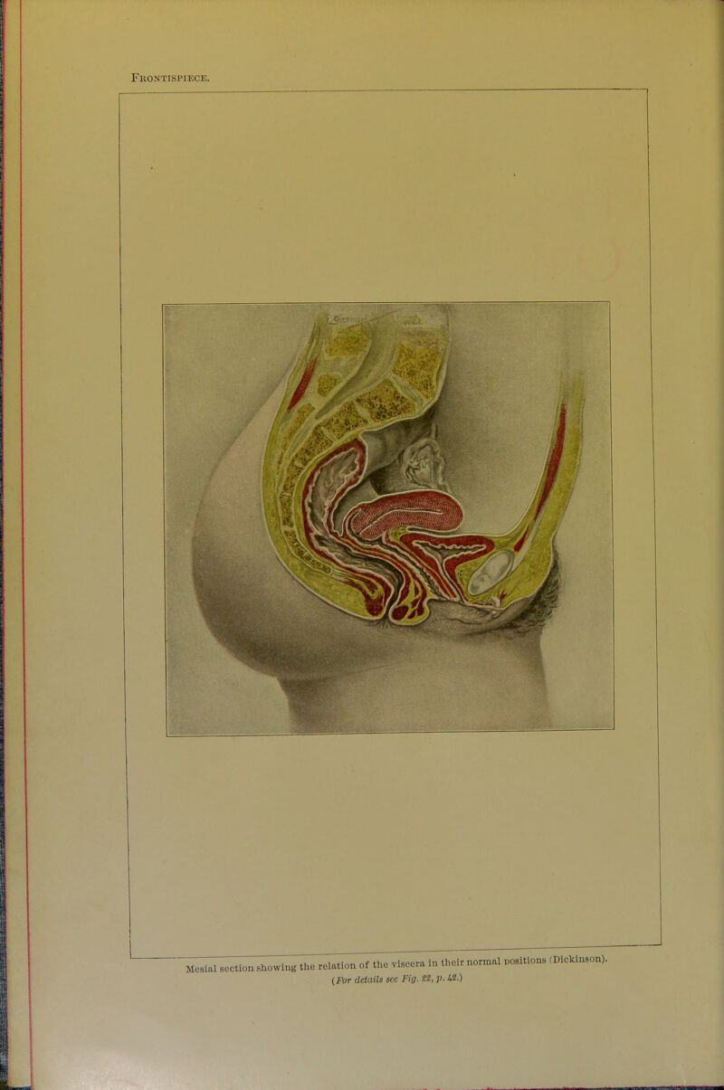 Frontispiece. {For details see Fig. n, p. i2.)