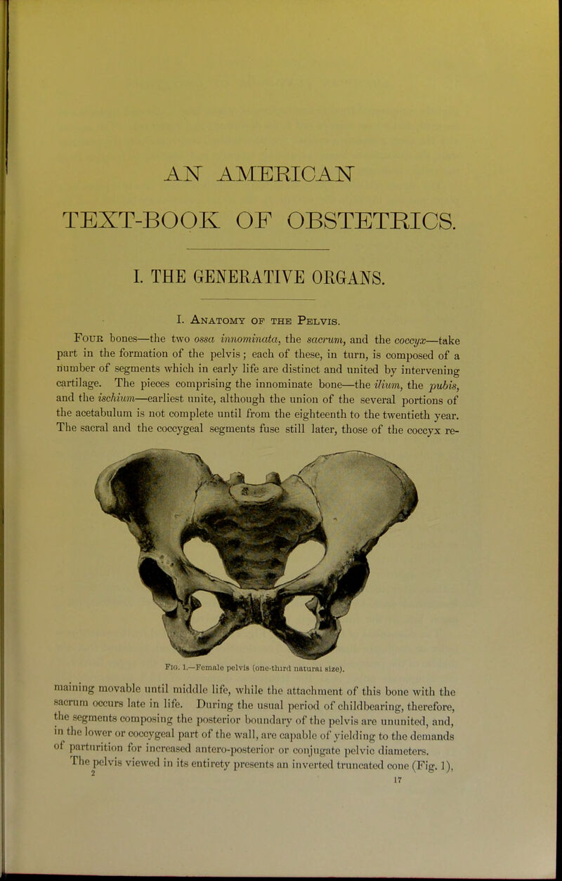AlSr AMERICAN TEXT-BOOK OF OBSTETRICS. I. THE GENERATIVE ORGANS. I. Anatomy of the Pelvis. Four bones—the two ossa innominata. the sacrum, and the coccyx—take part in the formation of the pelvis; each of these, in turn, is composed of a number of segments which in early life are distinct and united by intervening cartilage. The pieces comprising the innominate bone—the ilium, the pubis, and the ischium—earliest unite, although the union of the several portions of the acetabulum is not complete until from the eighteenth to the twentieth year. The sacral and the coccygeal segments fuse still later, those of the coccyx re- Fio. 1.—Female pelvis (one-third natural size). maining movable until middle life, while the attachment of this bone with the sacrum occurs late in life. During the usual period of childbearing, therefore, the segments composing the posterior boundary of the pelvis are ununited, and, in the lower or coccygeal part of the wall, are capable of yielding to the demands of parturition for increased antero-posterior or conjugate pelvic diameters. The pelvis viewed in its entirety presents an inverted truncated cone (Fig. 1), 11