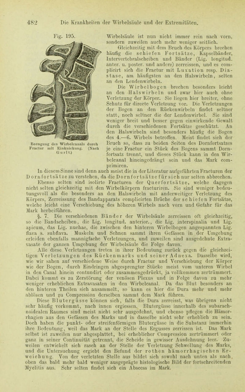 Wirbelsäule ist nun nicht immer rein nach vorn, sondern zuweilen auch mehr weniger seitlich. Gleichzeitig mit dem Bruch des Körpers brechen häufig die schiefen Fortsätze, Kapselbänder, Intervcrtebralscheiben und Bänder (Lig. longitud. anter. u. poster. und andere) zerreissen, und es com- plicirt sich die Fractur mit Luxation resp. Dia- stase, am häufigsten an den Halswirbeln, selten an den Lendenwirbeln. Die Wirbel bogen brechen besonders leicht an den Halswirbeln und zwar hier auch ohne Verletzung der Körper. Sie liegen hier breiter, ohne Schutz für dircetc Verletzung vor. Die Verletzungen der Bogen an den Rückenwirbeln findet seltner statt, noch seltner die der Lendenwirbel. Sie sind weniger breit und besser gegen einwirkende Gewalt durch die verschiedenen Fortsätze geschützt. An den Halswirbeln sind besonders häufig die Bogen des 4.—6. Wirbels betroffen. Meist findet sich der Bruch so, dass zu beiden Seiten des Dornfortsatzes je eine Fractur ein Stück des Bogens sammt Dorn- fortsatz trennt, und dieses Stück kann in den Wir- bclcanal hineingedrängt sein und das Mark com- piimircn. In diescmSinne sind denn auch meist die in der Literatur aufgeführten Fracturen der Dornfortsätzezu verstehen, da die Dorn fortsät ze für sich nur selten abbrechen. Ebenso selten sind isolirtc Fracturen der Querfortsätze, welche dagegen nicht selten gleichzeitig mit den Wirbelkörpern fracturiren. Sie sind weniger bedeu- tungsvoll als die besonders an den Halswirbeln mit anderweitiger Verletzung des Körpers, Zerreissung des Bandapparats complicirten Brüche der sc hiefen Fortsätze, welche leicht eine Verschiebung des höheren Wirbels nach vorn und Gefahr für das Mark herbeiführen. §. 7. Die verschiedenen Bänder der Wirbelsäule zerreissen oft gleichzeitig, so die Bandscheiben, die Lig. longitud. anterior., die Lig. interspinalia und Lig. apicura, das Lig. nuchae, die zwischen den hinteren Wirbelbogen angespannten Lig. flava s. subflava. Muskeln und Sehnen sammt ihren Gcfässcn in der Umgebung erleiden ebenfalls mannigfache Verletzungen, und zuweilen sind ausgedehnte Extra- vasate der ganzen Umgebung der Wirbelsäule die Folge davon. Alle diese Verletzungen treten in ihrer Bedeutung zurück gegen die gleichzei- tigen Verletzungen des Rückenmarks und seiner Adnexa. Dasselbe wird, wie wir sahen auf verschiedene Weise durch Fractur und Verschiebung der Körper wie der Bogen, durch Eindringen abgesprengter Stücke meist vom unteren Wirbel in den Canal hinein contundirt oder zusammengedrückt, ja vollkommen zertrümmert. Dabei kommt es zu Zerstörung der venösen Plexus und in Folge davon zu mehr weniger erheblichen Extravasaten in den Wirbelcanal. Da das Blut besonders an den hinteren Thcilen sich ansammelt, so kann es hier die Dura mehr und mehr ablösen und zu Compression derselben sammt dem Mark führen. Diese Blutergüsse können sich, falls die Dura zerreisst, was übrigens nicht sehr häufig vorkommt, nach innen ergiessen. Blutergüsse innerhalb des subarach- noidealcn Raumes sind meist nicht sehr ausgedehnt, und ebenso pflegen die Hämor- rhagica aus den Gelassen des Marks und in dasselbe nicht sehr erheblich zu sein. Doch haben die punkt- oder streifenförmigen Blutergüsse in die Substanz immerhin ihre Bedeutung, weil das Mark an der Stelle des Ergusses zerrissen ist. Das Mark selbst ist zuweilen nur abgesplattet, bei erheblicher Compression zertrümmert oder ganz in seiner Continuität getrennt, die Scheide in gewisser Ausdehnung leer. Zu- weilen entwickelt sich rasch an der Stelle der Verletzung Schwellung des Marks, und die Untersuchung ergiebt den Befund der rothen hämorrhagischen Er- weichung. Von der verletzten Stelle aus bildet sich sowohl nach unten als nach oben das bald mehr bald weniger ausgeprägte histologische Bild der fortschreitenden Myelitis aus. Sehr selten findet sich ein Abscess im Mark. Fig. 195. Beendung des Wirbelcanals durch Fractur mit Einknickuno;. (Nach Gurlt.)
