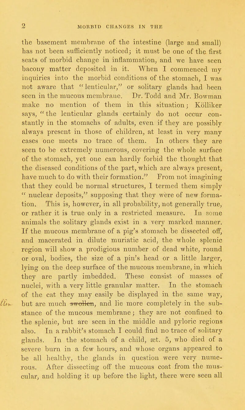 the basement membrane of the intestine (large and small) has not been sufficiently noticed; it must be one of the first seats of morbid change in inflammation, and we have seen bacony matter deposited in it. When I commenced ray inquiries into the morbid conditions of the stomach, I was not aware that  lenticular, or solitary glands had been seen in the mucous membrane. Dr. Todd and Mr. Bowman make no mention of them in this situation; Kolliker says, the lenticular glands certainly do not occur con- stantly in the stomachs of adults, even if they are possibly always present in those of children, at least in very many cases one meets no trace of them. In others they are seen to be extremely numerous, covering the whole surface of the stomach, yet one can hardly forbid the thought that the diseased conditions of the part, which are always present, have much to do with their formation. From not imagining that they could be normal structures, I termed them simply  nuclear deposits, supposing that they were of new forma- tion. This is, however, in all probability, not genei'ally true, or rather it is true only in a restricted measure. In some animals the solitary glands exist in a very marked manner. If the mucous membrane of a pig's stomach be dissected off, and macerated in dilute muriatic acid, the whole splenic region will show a prodigious number of dead white, round or oval, bodies, the size of a pin's head or a little larger, lying on the deep surface of the mucous membrane, in which they are partly imbedded. These consist of masses of nuclei, with a very little granular matter. In the stomach of the cat they may easily be displayed in the same way, but are much swollen, and lie more completely in the sub- stance of the mucous membrane; they are not confined to the splenie, but are seen in the middle and pyloric regions also. In a rabbit's stomach I could find no trace of solitary glands. In the stomach of a child, set. 5, who died of a severe burn in a few hours, and whose organs appeared to be all healthy, the glands in question were very nume- rous. After dissecting off the mucous coat from the mus- cular, and holding it up before the light, there were seen all