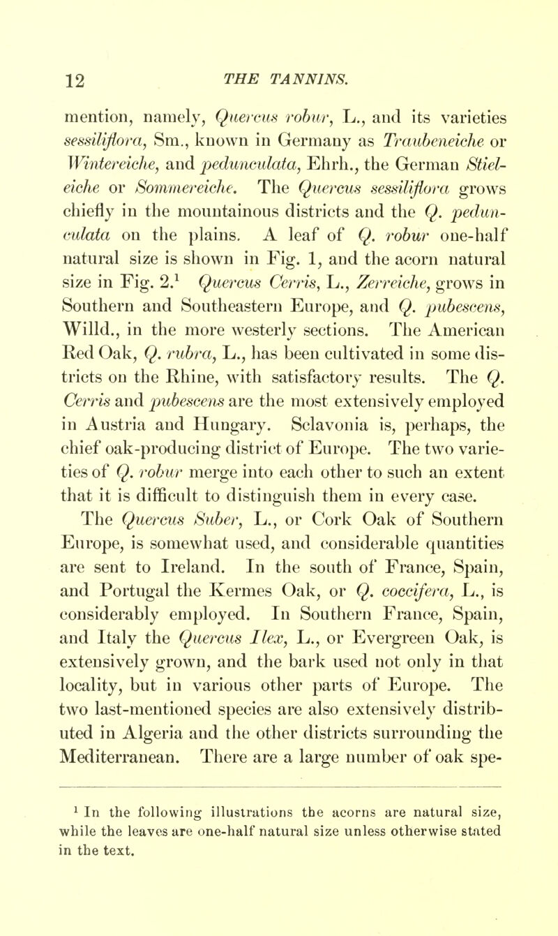 mention, namely, Quercus robur, L., and its varieties sessiliflora, Sm., known in Germany as Traubeneiche or Wintereiche, and pedunculated, Ehrh., the German Stiel- eiche or Sommereiche. The Quercus sessiliflora grows chiefly in the mountainous districts and the Q. pedun- eulata on the plains. A leaf of Q. robur one-half natural size is shown in Fig. 1, and the acorn natural size in Fig. 2.1 Quercus Cerris, L., Zerreiche, grows in Southern and Southeastern Europe, and Q. pubescens, Willd., in the more westerly sections. The American Red Oak, Q. rubra, L., has been cultivated in some dis- tricts on the Rhine, with satisfactory results. The Q. Cerris and pubescens are the most extensively employed in Austria and Hungary. Sclavonia is, perhaps, the chief oak-producing district of Europe. The two varie- ties of Q. robur merge into each other to such an extent that it is difficult to distinguish them in every case. The Quercus Suber, L., or Cork Oak of Southern Europe, is somewhat used, and considerable quantities are sent to Ireland. In the south of France, Spain, and Portugal the Kermes Oak, or Q. coccifera, L., is considerably employed. In Southern France, Spain, and Italy the Quercus Ilex, L., or Evergreen Oak, is extensively grown, and the bark used not only in that locality, but in various other parts of Europe. The two last-mentioned species are also extensively distrib- uted in Algeria and the other districts surrounding the Mediterranean. There are a large number of oak spe- 1 In the following illustrations the acorns are natural size, while the leaves are one-half natural size unless otherwise stated in the text.