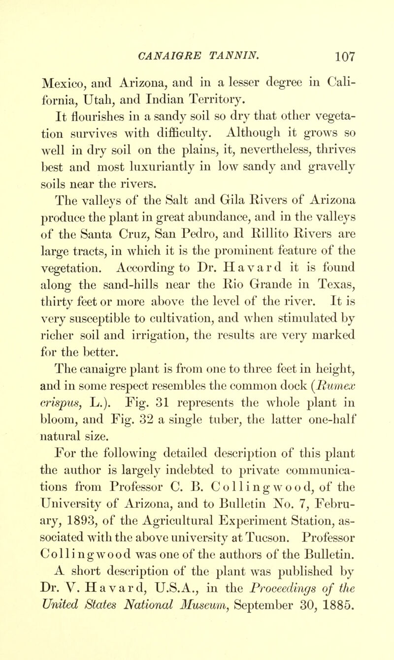 Mexico, and Arizona, and in a lesser degree in Cali- fornia, Utah, and Indian Territory. It flourishes in a sandy soil so dry that other vegeta- tion survives with difficulty. Although it grows so well in dry soil on the plains, it, nevertheless, thrives best and most luxuriantly in low sandy and gravelly soils near the rivers. The valleys of the Salt and Gila Eivers of Arizona produce the plant in great abundance, and in the valleys of the Santa Cruz, San Pedro, and Rillito Rivers are large tracts, in which it is the prominent feature of the vegetation. According to Dr. H a v a r d it is found along the sand-hills near the Rio Grande in Texas, thirty feet or more above the level of the river. It is very susceptible to cultivation, and when stimulated by richer soil and irrigation, the results are very marked for the better. The canaigre plant is from one to three feet in height, and in some respect resembles the common dock (Rumex erispus, L.). Fig. 31 represents the whole plant in bloom, and Fig. 32 a single tuber, the latter one-half natural size. For the following detailed description of this plant the author is largely indebted to private communica- tions from Professor C. B. C o 11 i n g w o o d, of the University of Arizona, and to Bulletin No. 7, Febru- ary, 1893, of the Agricultural Experiment Station, as- sociated with the above university at Tucson. Professor Collingwood was one of the authors of the Bulletin. A short description of the plant was published by Dr. V. Havard, U.S.A., in the Proceedings of the United States National Museum, September 30, 1885.