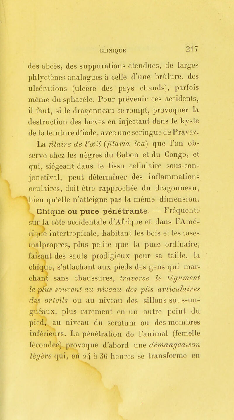 des abces, cles suppurations etendues, de largcs phlyctenes analogues a celle d'une brulure, des ulcerations (ulcere des pays chauds), parfois meme du sphacele. Pour prevenir ces accidents, il faut, si le dragonneau serompt, provoquer la destruction des larves en injectant dans le kysle de la teinture d'iode, avec une seringue de Pravaz. La filaire de I'ceil (filaria loa) que Ton ob- serve chez les negres du Gabon et du Congo, et qui, siegeant dans le tissu cellulaire sous-con- jonctival, peut determiner des inflammations oculaires, doit etre rapprochee du dragonneau, ^bien qu'elle n'atteigne pas la meme dimension. Ghique ou puce penetrante. — Frequente sur la cdte occidentale d'Afrique et dans l'Ame- l ique intertropicale, habitant les bois et les cases malpropres, plus petite que la puce ordinaire, faisant des sauls prodigieux pour sa taille, la cbique, s'attachant aux pieds des gens qui mar- chant sans chaussures, traverse le tegument le plus sotcvent au niveau cles plis articulaires des orleils ou au niveau des sillons sous-un- gueaux, plus rarement en un autre point du pied, au niveau du scrotum ou des membres inferieurs. La penetration de i'animal (femelle fecondee) provoque d'abord une demangeaison legere qui, en ?4 ii 36 heures se transfortne en