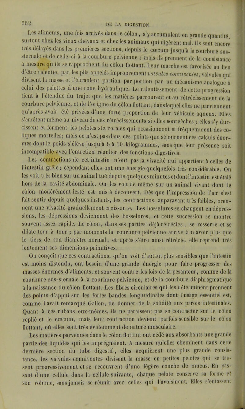 Les aliments, une fois arrivés dans le côlon, s'y accumulent en grande quantité, surtout chez les vieux chevaux et chez les animaux qui digèrent mal. Ils sont encore très délayés dans les picmièrcs sections, depuis le cœcum jusqu'à la courbure sus- sternale et de celle-ci à la courbure pelvienne ; mais ils prennent de la consistance à mesure qu'ils se rapprochent du côlon flottant. Leur marche est favorisée au lieu d'être ralentie, par les plis appelés improprement valvules conniventes, valvules qui divisent la masse et l'ébranlent portion par portion par un mécanisme analogue à celui des palettes d'une roue hydraulique. Le ralentissement de cette progression tient à l'étendue du trajet que les matières parcourent et au rétrécissement de la courbure pelvienne, et de l'origine du côlon flottant, danslequel elles ne parviennent qu'après avoir été privées d'une forte proportion de leur véhicule aqueux. Elles s'arrêtent même au niveau de ces rétrécissements si elles sont sèches ; elles s'y dur- cissent et forment les pelotes stercorales qui occasionnent si fréquemment des co- liques mortelles; mais ce n'est pas dans ces points que séjournent ces calculs énor- mes dont le poids s'élève jusqu'à 8 à 10 kilogrammes, sans que leur présence soit incompatible avec l'entretien régulier des fonctions digeslives. Les contractions de cet intestin n'ont pas la vivacité qui appartient à celles de l'intestin grêle; cependant elles ont une énergie quelquefois très considérable. On les voit très biensur unanimal tué depuis quelques minutesetdontl'intestin est étalé hors de la cavité abdominale. On les voit de même sur un animal vivant dont le côlon modérément leslé est mis à découvert. Dès que l'impression de l'air s'est fait sentir depuis quelques instants, les contractions, auparavant très faibles, pren- nent une vivacité graduellement croissante. Les bosselures se changent en dépres- sions, les dépressions deviennent des bosselures, et relie succession se mon lie souvent assez rapide. Le côlon, dans ses parties déjà iélrécies, se resserre et se dilate tour à tour ; par moments la courbure pelvienne arrive à n'avoir plus que le tiers de son diamètre normal, et après s'être ainsi rélrécie, elle reprend très lentement ses dimensions primitives. On conçoit que ces contractions, qu'on voit d'autant plus sensibles que l'intestin est moins distendu, ont besoin d'une grande énergie pour faire progresser des masses énormes d'aliments, et souvent contre les lois de la pesanteur, comme de la courbure sus-slernale à la courbure pelvienne, et de la courbure diaphragmatique à la naissance du côlon flottant. Les fibres circulaires qui les déterminent prennent des points d'appui sur les fortes bandes longitudinales dont l'usage essentiel est, comme l'avait remarqué Galicn, de donner de la solidité aux parois intestinales. Quant à ces rubans eux-mêmes, ils ne paraissent pas se contracter sur le côlon replié et le cœcum, mais leur contraction devient parfois sensible sur le côlon flottant, où elles sont très évidemment de nature musculaire. Les matières parvenues dans le côlon flottant ont cédé aux absorbants une grande partie des liquides qui les imprégnaient. A mesure qu'elles cheminent dans relie dernière section du tube digestif, elles acquièrent une plus grande consis- tance, les valvules conniventes divisent la masse en petites pelotes qui se Lis- sent progressivement et se recouvrent d'une légère couche de mucus. En pas- sant d'une cellule dans la cellule suivante, chaque pelote conserve sa forme cl son volume, sans jamais se réunir avec celles qui l'avoisinont. Elles s'entassent