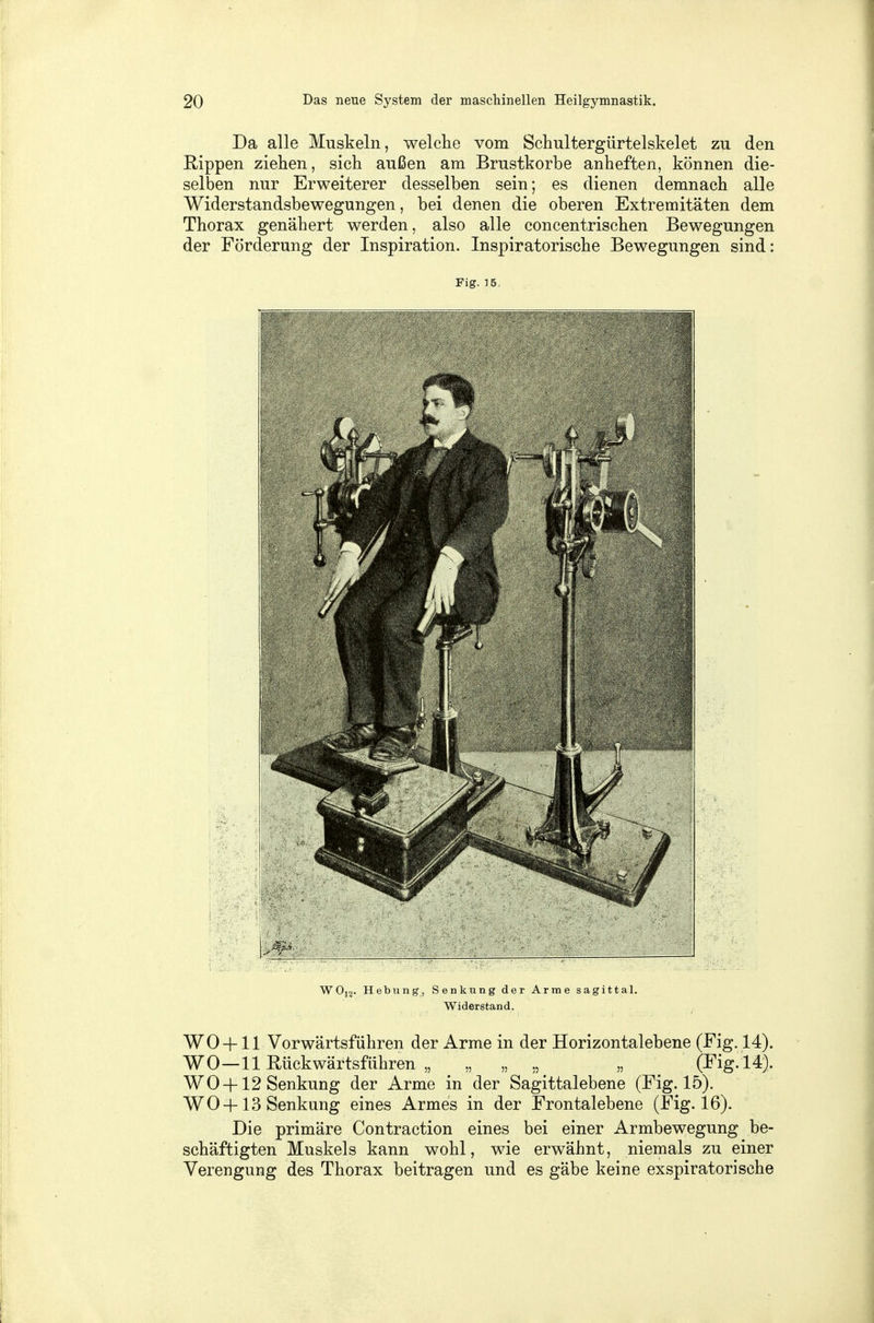 Da alle Muskeln, welche vom Schultergürtelskelet zu den Rippen ziehen, sich außen am Brustkorbe anheften, können die- selben nur Erweiterer desselben sein; es dienen demnach alle Widerstandsbewegungen, bei denen die oberen Extremitäten dem Thorax genähert werden, also alle concentrischen Bewegungen der Förderung der Inspiration. Inspiratorische Bewegungen sind: Fig. 15. W012. Hebung, Senkung der Arme sagittal. Widerstand. WO +11 Vorwärtsführen der Arme in der Horizontalebene (Fig. 14). WO—11 Rückwärtsfahren „ ,, „ „ „ (Fig. 14). WO+ 12 Senkung der Arme in der Sagittalebene (Fig. 15). WO+13 Senkung eines Armes in der Frontalebene (Fig. 16). Die primäre Contraction eines bei einer Armbewegung be- schäftigten Muskels kann wohl, wie erwähnt, niemals zu einer Verengung des Thorax beitragen und es gäbe keine exspiratorische