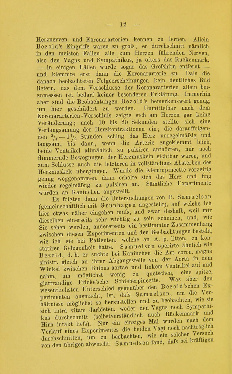 Herznerven und Koronararterien kennen zu lernen. Allein Bezold's Eingriffe waren zu grofs; er durchschnitt nämlich in den meisten Fällen alle zum Herzen führenden Nerven, also den Vagus und Sympathikus, ja öfters das Rückenmark, — in einigen Fällen wurde sogar das Grofshirn entfernt — und klemmte erst dann die Koronararterie zu. Dafs die danach beobachteten Folgeerscheinungen kein deutliches Bild liefern, das dem Verschlusse der Koronararterien allein bei- zumessen ist, bedarf keiner besonderen Erklärung. Immerhin aber sind die Beobachtungen Bezold's bemerkenswert genug, um hier geschildert zu werden. Unmittelbar nach dem Koronararterien-Verschlufs zeigte sich am Herzen gar keine Veränderung; nach 10 bis 20 Sekunden stellte sich eine Verlangsamung der Herzkontraktionen ein; die darauffolgen- cien sj^—V/^ Stunden schlug das Herz unregelmäfsig und langsam, bis dann, wenn die Arterie zugeklemmt blieb, beide Ventrikel allmählich zu pulsiren aufhörten, nur noch flimmernde Bewegungen der Herzmuskeln sichtbar waren, und zum Schlüsse auch die letzteren in vollständiges Absterben des Herzmuskels übergingen. Wurde die Klemmpincette vorzeitig genug weggenommen, dann erholte sich das Herz und fing wieder regelmäfsig zu pulsiren an. Sämtliche Experimente wurden an Kaninchen angestellt. Es folgten dann die Untersuchungen von B. Samuelson (gemeinschaftlich mit Grünhagen angestellt), auf welche ich hier etwas näher eingehen mufs, und zwar deshalb, weil mir dieselben einerseits sehr wichtig zu sein scheinen, und, wie Sie sehen werden, andererseits ein bestimmter Zusammenhang zwischen diesen Experimenten und den Beobachtungen besteht, wie ich sie bei Patienten, welche an A. p. litten, zu kon- statiren Gelegenheit hatte. Samuelson operirte ähnhch wie Bezold d. h. er suchte bei Kaninchen die Art. coron. magna sinistr. gleich an ihrer Abgangsstelle von der Aorta in dem Winkel zwischen Bulbus aortae und linkem Ventrikel auf und nahm, um möglichst wenig zu quetschen^ ^L'^'S glattrandige Fricke'sche Schieberpincette. Was aber den wes ntlichsten Unterschied gegenüber den d'^^^^^^- perimenten ausmacht, ist, dafs Samuelson um die Ver- hältnisse möglichst so herzustellen und zu sich intra vitam darbieten, weder den Vagus noch Sympatbi kus durchschnitt (selbstverständlich auch Rtickenmark und Hirn intakt liefs). Nur ein einziges Mal wurden ^^ch dm Verlauf eines Experimentes die beiden Vagi noch na^^^^^^^^^^ durchschnitten, um zu beobachten, wie «^'^/f .^^^, ;Sen von den übrigen abweicht. Samuelson fand, dafs bei krattigen