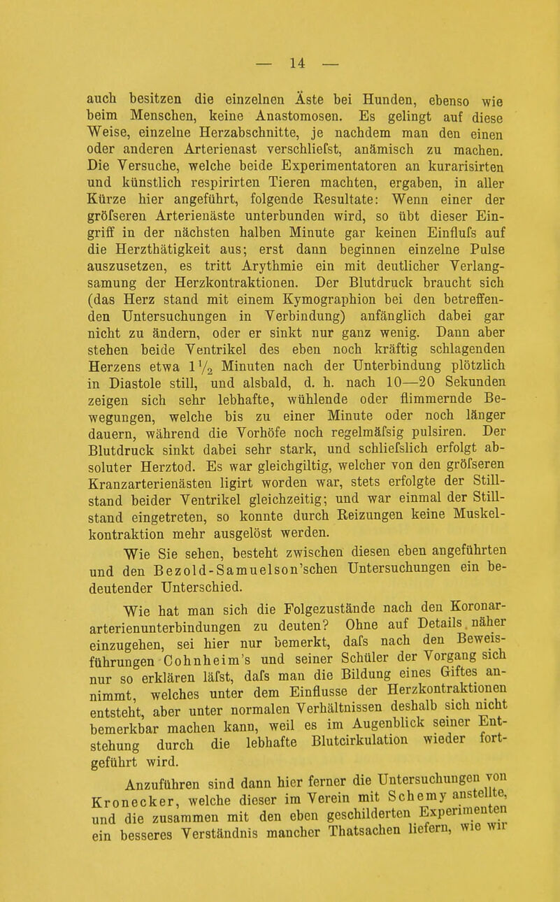auch besitzen die einzelnen Äste bei Hunden, ebenso wie beim Menschen, keine Anastomosen. Es gelingt auf diese Weise, einzelne Herzabschnitte, je nachdem man den einen oder anderen Arterienast verschliefst, anämisch zu machen. Die Versuche, welche beide Experimentatoren an kurarisirten und künstlich respirirten Tieren machten, ergaben, in aller Kürze hier angeführt, folgende Resultate: Wenn einer der gröfseren Arterienäste unterbunden wird, so übt dieser Ein- griff in der nächsten halben Minute gar keinen Einflufs auf die Herzthätigkeit aus; erst dann beginnen einzelne Pulse auszusetzen, es tritt Arythmie ein mit deutlicher Verlang- samung der Herzkontraktionen. Der Blutdruck braucht sich (das Herz stand mit einem Kymographion bei den betreffen- den Untersuchungen in Verbindung) anfänglich dabei gar nicht zu ändern, oder er sinkt nur ganz wenig. Dann aber stehen beide Ventrikel des eben noch kräftig schlagenden Herzens etwa V/^ Minuten nach der Unterbindung plötzlich in Diastole still, und alsbald, d. h. nach 10—20 Sekunden zeigen sich sehr lebhafte, wühlende oder flimmernde Be- wegungen, welche bis zu einer Minute oder noch länger dauern, während die Vorhöfe noch regelmäfsig pulsiren. Der Blutdruck sinkt dabei sehr stark, und schliefslich erfolgt ab- soluter Herztod. Es war gleichgiltig, welcher von den gröfseren Kranzarterienästen ligirt worden war, stets erfolgte der Still- stand beider Ventrikel gleichzeitig; und war einmal der Still- stand eingetreten, so konnte durch Reizungen keine Muskel- kontraktion mehr ausgelöst werden. Wie Sie sehen, besteht zwischen diesen eben angeführten und den Bezold-Samuelson'schen Untersuchungen ein be- deutender Unterschied. Wie hat man sich die Folgezustände nach den Koronar- arterienunterbindungen zu deuten? Ohne auf Details, näher einzugehen, sei hier nur bemerkt, dafs nach den Beweis- führungen Cohnheim's und seiner Schüler der Vorgang sich nur so erklären läfst, dafs man die Bildung eines Giftes an- nimmt welches unter dem Einflüsse der Herzkontraktionen entsteht, aber unter normalen Verhältnissen deshalb sich mcht bemerkbar machen kann, weil es im Augenblick seiner Ent- stehung durch die lebhafte Blutcirkulation wieder fort- geführt wird. Anzuführen sind dann hier ferner die Untersuchungen von Kronecker, welche dieser im Verein mit Schemy anstel te, und die zusammen mit den eben geschilderten Experimenten ein besseres Verständnis mancher Thatsachen liefern, wie wir