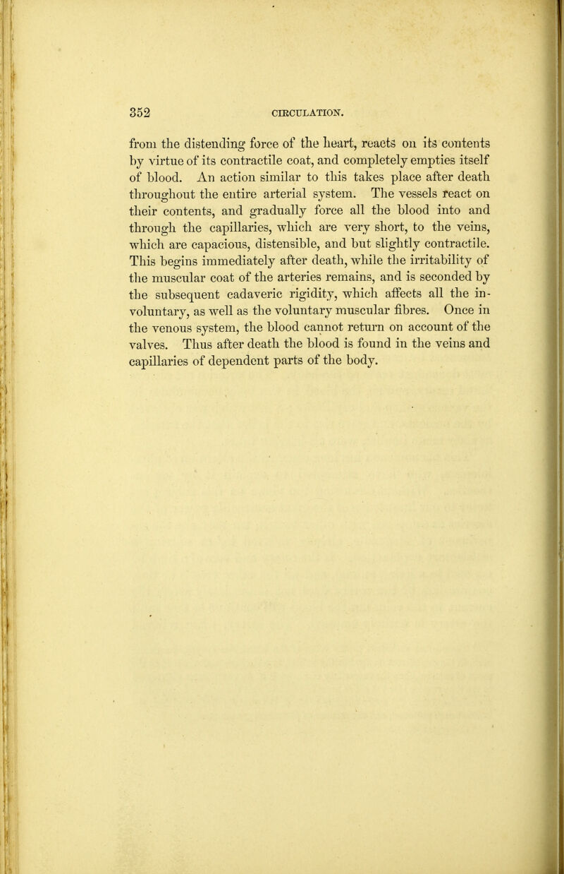 from the distending force of the heart, reacts on its contents by virtue of its contractile coat, and completely empties itself of blood. An action similar to this takes place after death throughout the entire arterial system. The vessels react on their contents, and gradually force all the blood into and through the capillaries, which are very short, to the veins, which are capacious, distensible, and but slightly contractile. This begins immediately after death, while the irritability of the muscular coat of the arteries remains, and is seconded by the subsequent cadaveric rigidity, which aifects all the in- voluntary, as well as the voluntary muscular fibres. Once in the venous system, the blood cannot return on account of the valves. Thus after death the blood is found in the veins and capillaries of dependent parts of the body.