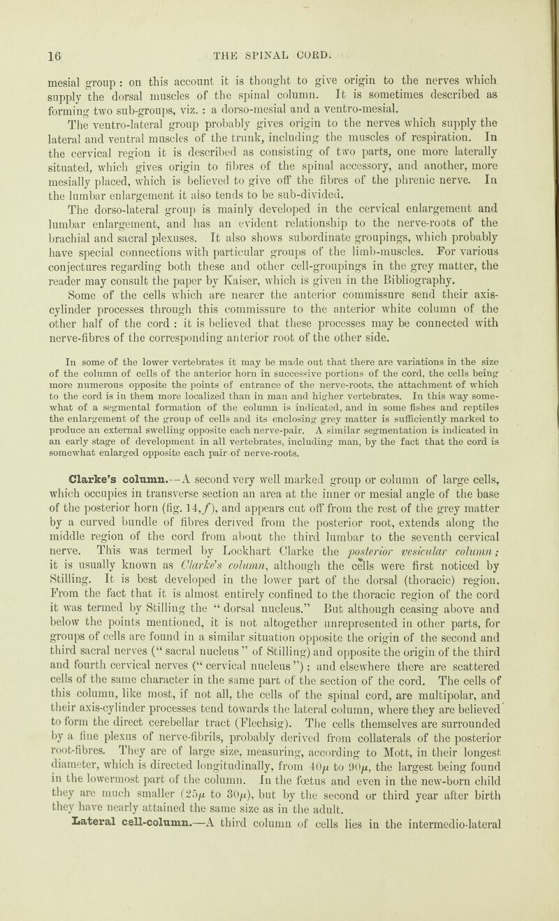mesial group : on this account it is thought to give origin to the nerves which supply the dorsal muscles of the spinal column. It is sometimes described as forming two sub-groups, viz. : a dorso-mesial and a ventro-mesial. The ventro-lateral group probably gives origin to the nerves which supply the lateral and ventral muscles of the trunk, including the muscles of respiration. In the cervical region it is described as consisting of two parts, one more laterally situated, which gives origin to fibres of the spinal accessory, and another, more mesially placed, which is believed to give off the fibres of the phrenic nerve. In the lumbar enlargement it also tends to be sub-divided. The dorso-lateral group is mainly developed in the cervical enlargement and lumbar enlargement, and has an evident relationship to the nerve-roots of the brachial and sacral plexuses. It also shows subordinate groupings, which probably have special connections with particular groups of the limb-muscles. For various conjectures regarding both these and other cell-groupings in the grey matter, the reader may consult the paper by Kaiser, which is given in the Bibliography. Some of the cells which are nearer the anterior commissure send their axis- cylinder processes through this commissure to the anterior white column of the other half of the cord : it is believed that these processes may be connected with nerve-fibres of the corresponding anterior root of the other side. In some of the lower vertebrates it may be made out that there are variations in the size of the column of cells of the anterior horn in successive portions of the cord, the cells being more numerous opposite the points of entrance of the nerve-roots, the attachment of which to the cord is in them more localized than in man and higher vertebrates. In this way some¬ what of a segmental formation of the column is indicated, and in some fishes and reptiles the enlargement of the group of cells and its enclosing grey matter is sufficiently marked to produce an external swelling opposite each nerve-pair. A similar segmentation is indicated in an early stage of development in all vertebrates, including man, by the fact that the cord is somewhat enlarged opposite each pair of nerve-roots. Clarke’s column.—A second very well marked group or column of large cells, which occupies in transverse section an area at the inner or mesial angle of the base of the posterior horn (fig. 14,/), and appears cut off from the rest of the grey matter by a curved bundle of fibres derived from the posterior root, extends along the middle region of the cord from about the third lumbar to the seventh cervical nerve. This was termed by Lockhart Clarke the posterior vesicular column; it is usually known as Clarice's column, although the cells were first noticed by Stilling. It is best developed in the lower part of the dorsal (thoracic) region. From the fact that it is almost entirely confined to the thoracic region of the cord it was termed by Stilling the “ dorsal nucleus.” But although ceasing above and below the points mentioned, it is not altogether unrepresented in other parts, for groups of cells are found in a similar situation opposite the origin of the second and third sacral nerves (“ sacral nucleus ” of Stilling) and opposite the origin of the third and fourth cervical nerves (“ cervical nucleus ”); and elsewhere there are scattered cells of the same character in the same part of the section of the cord. The cells of this column, like most, if not all, the cells of the spinal cord, are mnltipolar, and their axis-cylinder processes tend towards the lateral column, where they are believed to form the direct cerebellar tract (Flechsig). The cells themselves are surrounded by a fine plexus of nerve-fibrils, probably derived from collaterals of the posterior root-fibres. They are of large size, measuring, according to Mott, in their longest diameter, which is directed longitudinally, from 40ju to 90ju, the largest being found in the lowermost part of the column. In the foetus and even in the new-born child they are much smaller (25^ to 30ju), but by the second or third year after birth they have nearly attained the same size as in the adult. Lateral cell-column.—A third column of cells lies in the intermedio-lateral