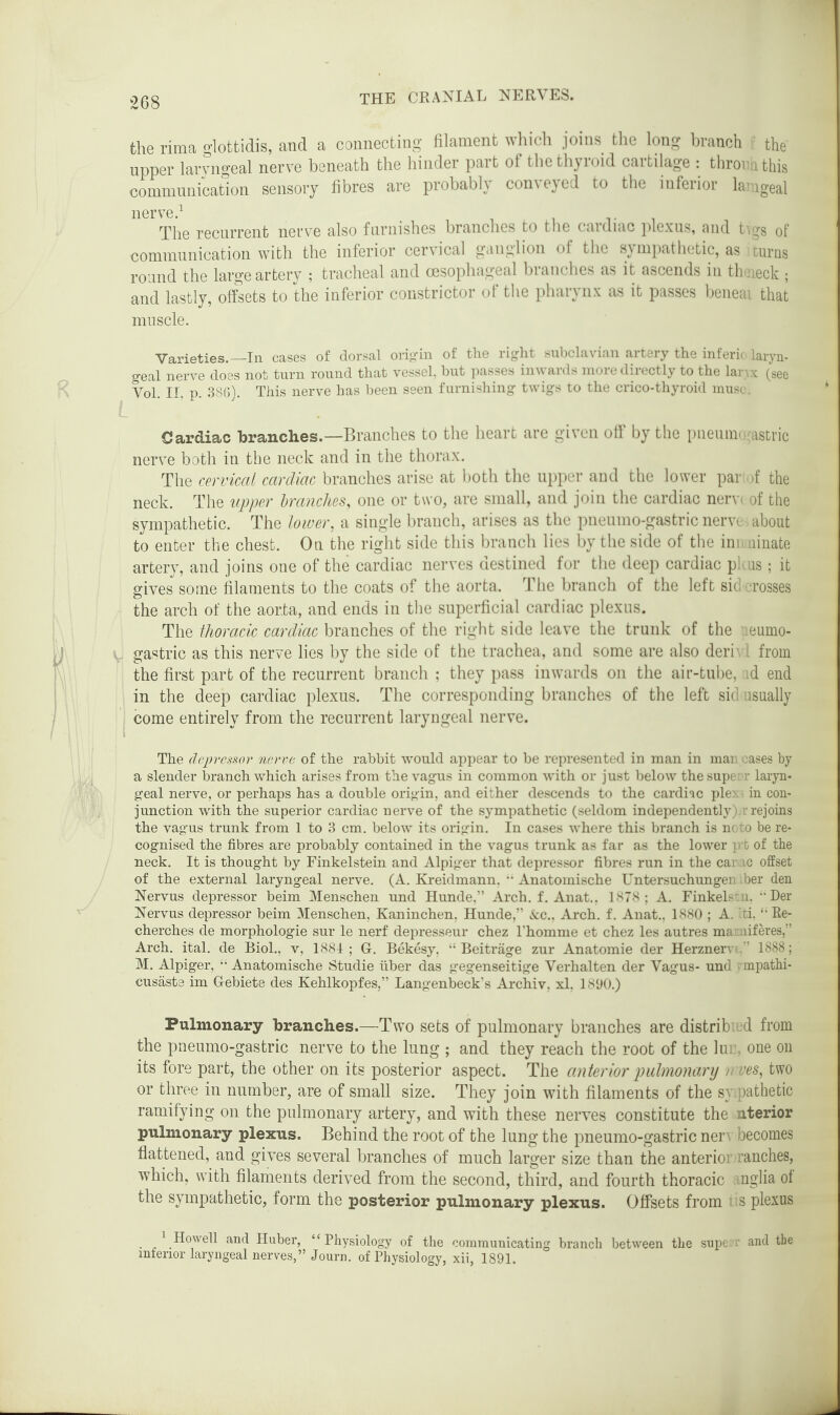 the rima glottidis, and a connecting filament which joins the long branch the upper laryngeal nerve beneath the hinder part of the thyroid cartilage : throne this communication sensory fibres are probably conveyed to the inferior lamgeal nerve.1 The recurrent nerve also furnishes branches to the cardiac plexus, and tigs of communication with the inferior cervical ganglion of the sympathetic, as turns round the large artery ; tracheal and oesophageal branches as it ascends in thoieck ; and lastly, offsets to the inferior constrictor of the pharynx as it passes beneai that muscle. Varieties.—In cases of dorsal origin of the right subclavian artery the inferio laryn¬ geal nerve does not turn round that vessel, but passes inwards more directly to the lanx (see Vol. II. p. 38G). This nerve has been seen furnishing twigs to the crico-thyroid mus CJardiac branches.—Branches to the heart are given off by the pneuan gastric nerve both in the neck and in the thorax. The cervical cardiac branches arise at both the upper and the lower par >f the neck. The upper branches, one or two, are small, and join the cardiac nerv< of the sympathetic. The lower, a single branch, arises as the pneumo-gastric nerv about to enter the chest. On the right side this branch lies by the side of the ini innate artery, and joins one of the cardiac nerves destined for the deep cardiac pkus; it gives some filaments to the coats of the aorta. The branch of the left sid Tosses the arch of the aorta, and ends in the superficial cardiac plexus. The thoracic cardiac branches of the right side leave the trunk of the eumo- gastric as this nerve lies by the side of the trachea, and some are also deri from the first part of the recurrent branch ; they pass inwards on the air-tube, id end in the deep cardiac plexus. The corresponding branches of the left sid usually come entirely from the recurrent laryngeal nerve. The depressor nerve of the rabbit would appear to be represented in man in mar; oases by a slender branch which arises from the vagus in common with or just below thesupe: r laryn¬ geal nerve, or perhaps has a double origin, and either descends to the cardiac ple>. in con¬ junction with the superior cardiac nerve of the sympathetic (seldom independently).r rejoins the vagus trunk from 1 to 3 cm. below its origin. In cases where this branch is noto be re¬ cognised the fibres are probably contained in the vagus trunk as far as the lower ] > t of the neck. It is thought by Finkelstein and Alpiger that depressor fibres run in the car tc offset of the external laryngeal nerve. (A. Kreidmann.  Anatomische Untersuchungen iber den Nervus depressor beim Menschen und Hunde,” Arch. f. Anat., 1878; A. Finkelstu,  Der Nervus depressor beim Menschen, Kaninchen, Hunde,” &c., Arch. f. Anat., 1880 ; A. ti. '• Re- cherches de morphologie sur le nerf depresseur chez 1'homnie et chez les autres mamiferes,” Arch. ital. de Biol., v, 1881; Gr. Bekesy, “ Beitrage zur Anatomie der Herznerv ’ 1888; M. Alpiger, “ Anatomische Studie fiber das gegenseitige Verhalten der Vagus- und > mpathi- cusaste im GTebiete des Kehlkopfes,” Langenbeck’s Archiv, xl, 1890.) Pulmonary branches.—Two sets of pulmonary branches are distrib;; cl from the pneumo-gastric nerve to the lung ; and they reach the root of the lur, one on its fore part, the other on its posterior aspect. The anterior pulmonary nwes, two or three in number, are of small size. They join with filaments of the s} pathetic ramifying on the pulmonary artery, and with these nerves constitute the nterior pulmonary plexus. Behind the root of the lung the pneumo-gastric nerv becomes flattened, and gives several branches of much larger size than the anterior ranches, which, with filaments derived from the second, third, and fourth thoracic rnglia of the sympathetic, form the posterior pulmonary plexus. Offsets from is plexus . , 1.Howell and Huber, “Physiology of the communicating branch between the supcrr and the interior laryngeal nerves,” Journ. of Physiology, xii, 1891.