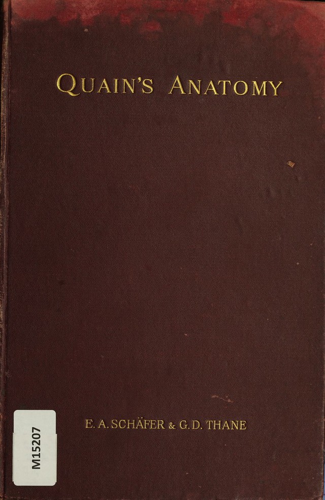 digitised image 1