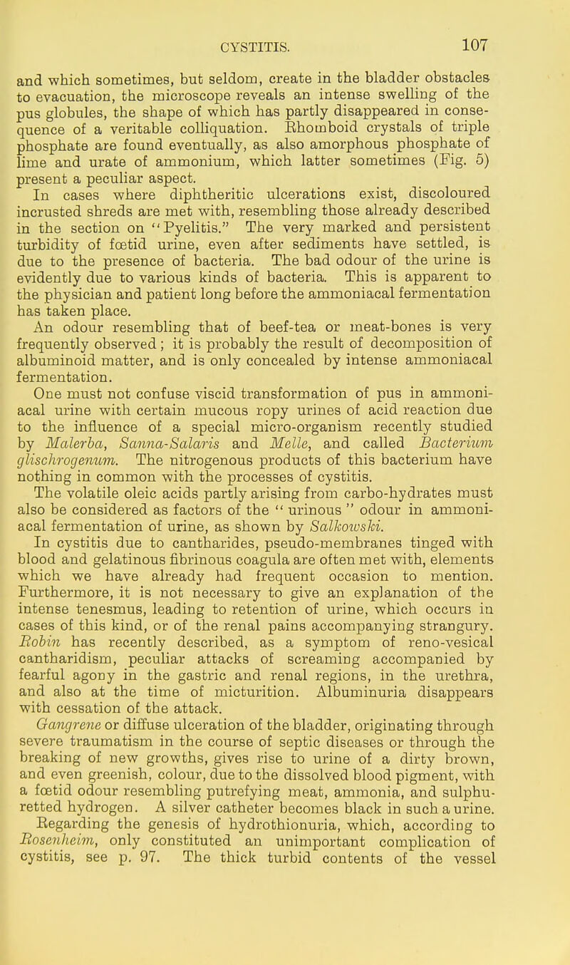 and which sometimes, but seldom, create in the bladder obstacles to evacuation, the microscope reveals an intense swelling of the pus globules, the shape of which has partly disappeared in conse- quence of a veritable colhquation. Ehomboid crystals of triple phosphate are found eventually, as also amorphous phosphate of lime and urate of ammonium, which latter sometimes (Fig. 5) present a peculiar aspect. In cases where diphtheritic ulcerations exist, discoloured incrusted shreds are met with, resembling those already described in the section on Pyelitis. The very marked and persistent turbidity of foetid urine, even after sediments have settled, is due to the presence of bacteria. The bad odour of the urine is evidently due to various kinds of bacteria. This is apparent to the physician and patient long before the ammoniacal fermentation has taken place. An odour resembling that of beef-tea or meat-bones is very frequently observed; it is probably the result of decomposition of albuminoid matter, and is only concealed by intense ammoniacal fermentation. One must not confuse viscid transformation of pus in ammoni- acal urine with certain mucous ropy urines of acid reaction due to the influence of a special micro-organism recently studied by Malerba, Sanna-Salaris and Melle, and called Bacterium glischrogenum. The nitrogenous products of this bacterium have nothing in common with the processes of cystitis. The volatile oleic acids partly arising from carbo-hydrates must also be considered as factors of the  urinous  odour in ammoni- acal fermentation of urine, as shown by Salkoivski. In cystitis due to cantharides, pseudo-membranes tinged with blood and gelatinous fibrinous coagula are often met with, elements which we have already had frequent occasion to mention. Furthermore, it is not necessary to give an explanation of the intense tenesmus, leading to retention of urine, which occurs in cases of this kind, or of the renal pains accompanying strangury. Eobin has recently described, as a symptom of reno-vesical cantharidism, peculiar attacks of screaming accompanied by fearful agony in the gastric and renal regions, in the urethra, and also at the time of micturition. Albuminuria disappears with cessation of the attack. Gangrene or diffuse ulceration of the bladder, originating through severe traumatism in the course of septic diseases or through the breaking of new growths, gives rise to urine of a dirty brown, and even greenish, colour, due to the dissolved blood pigment, with a foetid odour resembUng putrefying meat, ammonia, and sulphu- retted hydrogen. A silver catheter becomes black in such a urine. Regarding the genesis of hydrothionuria, which, according to Bosenheim, only constituted an unimportant complication of cystitis, see p. 97. The thick turbid contents of the vessel