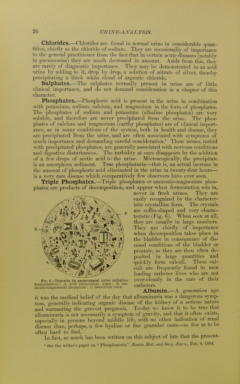 Chlorides.—Chlorides are found in normal urine in considerable quan- tities, chiefly as the chloride of sodium. They are occasionally of importance to the general practitioner from the fact that in certain acute diseases (notably in pneumonias) they are much decreased in amount. Aside from this, they arc rarely of diagnostic importance. They may be demonstrated in an acid urine by adding to it, drop by drop, a solution of nitrate of silver, thereby precipitating a thick white cloud of argentic chloride. Sulphates.—The sulphates normally present in urine are of little clinical importance, and do not demand consideration in a chapter of this character. Phosphates.—Phosphoric acid is present in the urine in combination with potassium, sodium, calcium, and magnesium in the form of phosphates. The phosphates of sodium and potassium (alkaline phosphates) are very soluble, and therefore are never precipitated from the urine. The phos- phates of calcium and magnesium (earthy phosphates) are of clinical import- ance, as in many conditions of the system, both in health and disease, they are precipitated from the urine, and are often associated with symptoms of much importance and demanding careful consideration.1 These urines, turbid with precipitated phosphates, are generally associated with nervous conditions and digestive disturbances. The turbidity at once disappears by the addition of a few drops of acetic acid to the urine. Microscopically, the precipitate is an amorphous sediment. True phosphaturia—that is, an actual increase in the amount of phosphoric acid eliminated in the urine in twenty-four hours— is a very rare disease which comparatively few observers have ever seen. Triple Phosphates.—Triple phosphates or ammonio-magnesium phos- phates are products of decomposition, and appear when fermentation sets in, never in fresh urines. They are easily recognized by the character- istic crystalline form. The crystals are coffin-shaped and very charac- teristic (Fig. 6). When seen at all, they are usually in large numbers. They are chiefly of importance when decomposition takes place in the bladder in consequence of dis- eased conditions of the bladder or prostate, as they are then often de- posited in large quantities and quickly form calculi. These cal- culi are frequently found in men leading catheter lives who are not over-cleanly in the care of their catheters. Albumin.—A generation ago it was the medical belief of the day that albuminuria was a dangerous symp- tom, generally indicating organic disease of the kidney of a serious nature and warranting the gravest prognosis. To-day we know it to be true that albuminuria is not necessarily a symptom of gravity, and that it often exists, especially in persons beyond middle life, with no other indication of renal di.-ease than, perhaps, a few hyaline or fine granular casts—so few as to be often hard to find. In fact, so much has been written on this subject of late that the prcsent- 1 See the writer's paper on  Phosphaturia, Boston Med. and Surg. Journ., Feb. 8, 1894. Fig. 6.—Deposits in ammoniacal urine (alkaline fermentation): A, acid ammonium urate; B, am- monio-magnesium phosphate; C, bacterium urese.