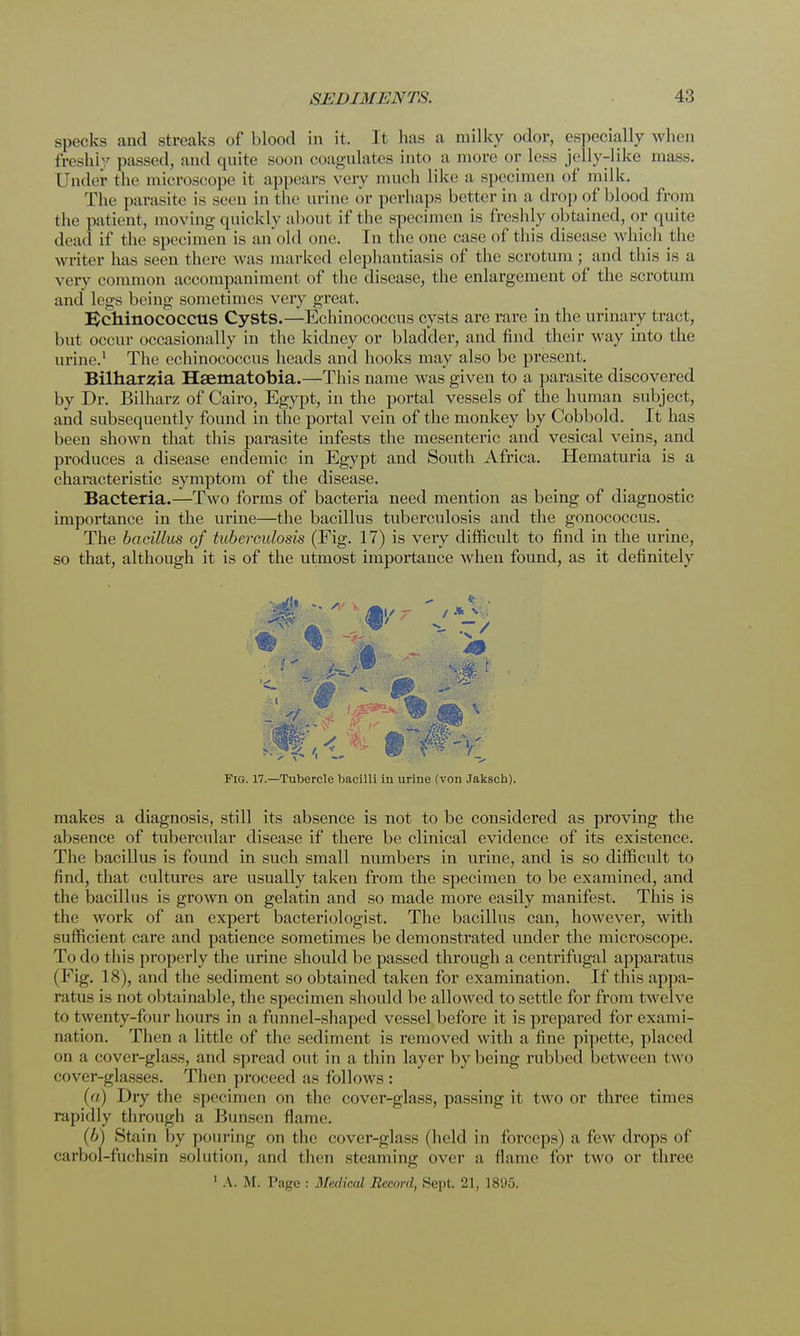specks and streaks of blood in it. It has a milky odor, especially when freshly passed, and quite soon coagulates into a more or less jelly-like mass. Under the microscope it appears very much like a specimen of milk. The parasite is seen in the urine or perhaps better in a drop of blood from the patient, moving quickly about if the specimen is freshly obtained, or quite dead if the specimen is an old one. In the one case of this disease which the writer has seen there was marked elephantiasis of the scrotum; and this is a very common accompaniment of the disease, the enlargement of the scrotum and legs being sometimes very great. Echinococcus Cysts.—Echinococcus cysts are rare in the urinary tract, but occur occasionally in the kidney or bladder, and find their way into the urine.1 The echinococcus heads and hooks may also be present. Bilharsia Haematobia.—This name was given to a parasite discovered by Dr. Bilharz of Cairo, Egypt, in the portal vessels of the human subject, and subsequently found in the portal vein of the monkey by Cobbold. It has been shown that this parasite infests the mesenteric and vesical veins, and produces a disease endemic in Egypt and South Africa. Hematuria is a characteristic symptom of the disease. Bacteria.—Two forms of bacteria need mention as being of diagnostic importance in the urine—the bacillus tuberculosis and the gonococcus. The bacillus of tuberculosis (Fig. 17) is very difficult to find in the urine, so that, although it is of the utmost importance when found, as it definitely ^ # J -/ Fig. 17.—Tubercle bacilli in urine (von Jaksch). makes a diagnosis, still its absence is not to be considered as proving the absence of tubercular disease if there be clinical evidence of its existence. The bacillus is found in such small numbers in urine, and is so difficult to find, that cultures are usually taken from the specimen to be examined, and the bacillus is grown on gelatin and so made more easily manifest. This is the work of an expert bacteriologist. The bacillus can, however, with sufficient care and patience sometimes be demonstrated under the microscope. To do this properly the urine should be passed through a centrifugal apparatus (Fig. 18), and the sediment so obtained taken for examination. If this appa- ratus is not obtainable, the specimen should be allowed to settle for from twelve to twenty-four hours in a funnel-shaped vessel before it is prepared for exami- nation. Then a little of the sediment is removed with a fine pipette, placed on a cover-glass, and spread out in a thin layer by being rubbed between two cover-glasses. Then proceed as follows : (a) Dry the specimen on the cover-glass, passing it two or three times rapidly through a Bunsen flame. (b) Stain by pouring on the cover-glass (held in forceps) a few drops of carbol-ftichsin solution, and then steaming over a flame for two or three 1 A. M. Page : Medical Record, Sept. 21, 1895.