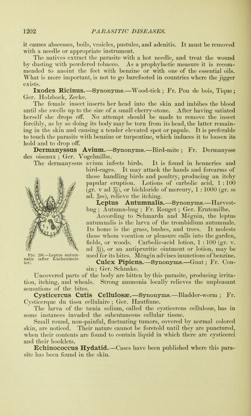 it causes abscesses, boils, vesicles, pustules, and adenitis. It must be removed with a needle or appropriate instrument. The natives extract the parasite with a hot needle, and treat the wound by dusting with powdered tobacco. As a prophylactic measure it is recom- mended to anoint the feet with benzine or with one of the essential oils. What is more important, is not to go barefooted in countries where the jigger exists. Ixodes Ricinus.—Synonyms.—Wood-tick ; Fr. Pou de bois, Tique ; Ger. Holzbock, Zecke. The female insect inserts her head into the skin and imbibes the blood until she swells up to the size of a small cherry-stone. After having satiated herself she drops off. No attempt should be made to remove the insect forcibly, as by so doing its body may be torn from its head, the latter remain- ing in the skin and causing a tender elevated spot or papule. It is preferable to touch the parasite with benzine or turpentine, which induces it to loosen its hold and to drop off. Dermanyssus Avium.—Synonyms.—Bird-mite ; Fr. Dermanysse des oiseaux ; Ger. Vogelmilbe. The dermanyssus avium infects birds. It is found in henneries and bird-cages. It may attack the hands and forearms of those handling birds and poultry, producing an itchy papular eruption. Lotions of carbolic acid, 1 : 100 (gr. v ad or bichloride of mercury, 1 : 1000 (gr. ss ad. sss), relieve the itching. Septus Autumnalis.—Synonyms.—Harvest- bug ; Autumn-bug ; Fr. Rouget; Ger. Erntemilbe. According to Schmarda and Megnin, the leptus autumnalis is the larva of the trombidium autumnale. Its home is the grass, bushes, and trees. It molests those whom vocation or pleasure calls into the garden, fields, or woods. Carbolic-acid lotion, 1 : 100 (gr. v. ad .lj), or an antipruritic ointment or lotion, may be used for its bites. Mengin advises inunctions of benzine. Culex Pipiens.—Synonyms.—Gnat; Fr. Cou- sin; Ger. Schnake. Uncovered parts of the body are bitten by this parasite, producing irrita- tion, itching, and wheals. Strong ammonia locally relieves the unpleasant sensations of the bites. Cysticercus Cutis Cellulosse.—Synonyms.—Bladder-worm ; Fr. Cysticerque du tissu cellulaire; Ger. Hautfinne. The larva of the taenia solium, called the cysticercus cellulosse, has in some instances invaded the subcutaneous cellular tissue. Small round, non-painful, fluctuating tumors, covered by normal colored skin, are noticed. Their nature cannot be foretold until they are punctured, when their contents are found to contain liquid in which there are cysticerci and their hooklets. Bchinococcus Hydatid.—Cases have been published where this para- site has been found in the skin. Fig. 296.—Leptus autum nalis (after Kuchenmeis ter).