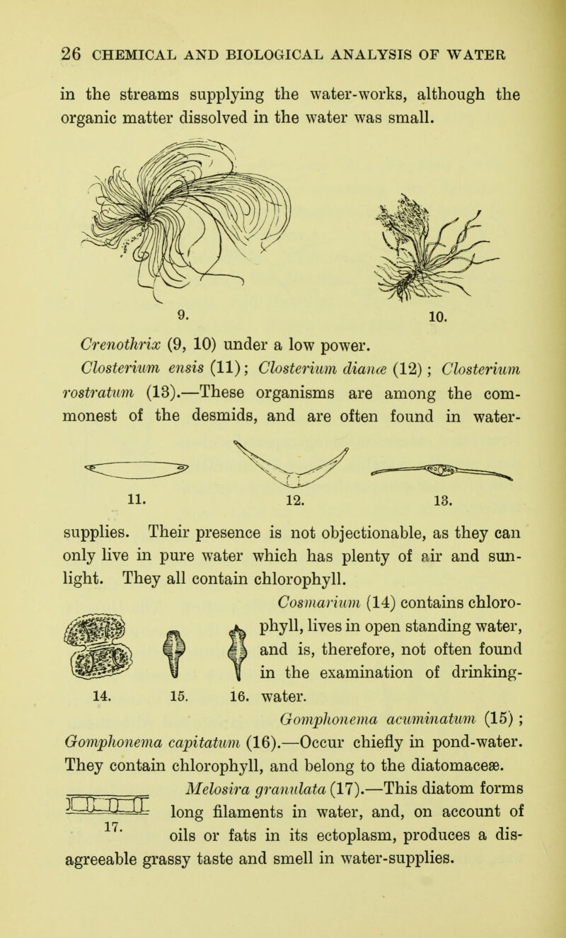 in the streams supplying the water-works, although the organic matter dissolved in the water was small. Crenothrix (9, 10) under a low power. Clostermm ensis (11); Closterium diaiue (12); Closterium rostratum (13).—These organisms are among the com- monest of the desmids, and are often found in water- 11. 12. 13. supplies. Their presence is not objectionable, as they can only live in pure water which has plenty of air and sun- light. They all contain chlorophyll. Cosmarium (14) contains chloro- phyll, lives in open standing water, and is, therefore, not often found in the examination of drinking- 14. 15. 16. water. Gomphonema acuminatum (15) ; GompJionema capitatum (16).—Occur chiefly in pond-water. They contain chlorophyll, and belong to the diatomaceae. ^ Melosira grannlata (17).—This diatom forms ^CIL^nE long filaments in water, and, on account of 17 oils or fats in its ectoplasm, produces a dis- agreeable grassy taste and smell in water-supplies.