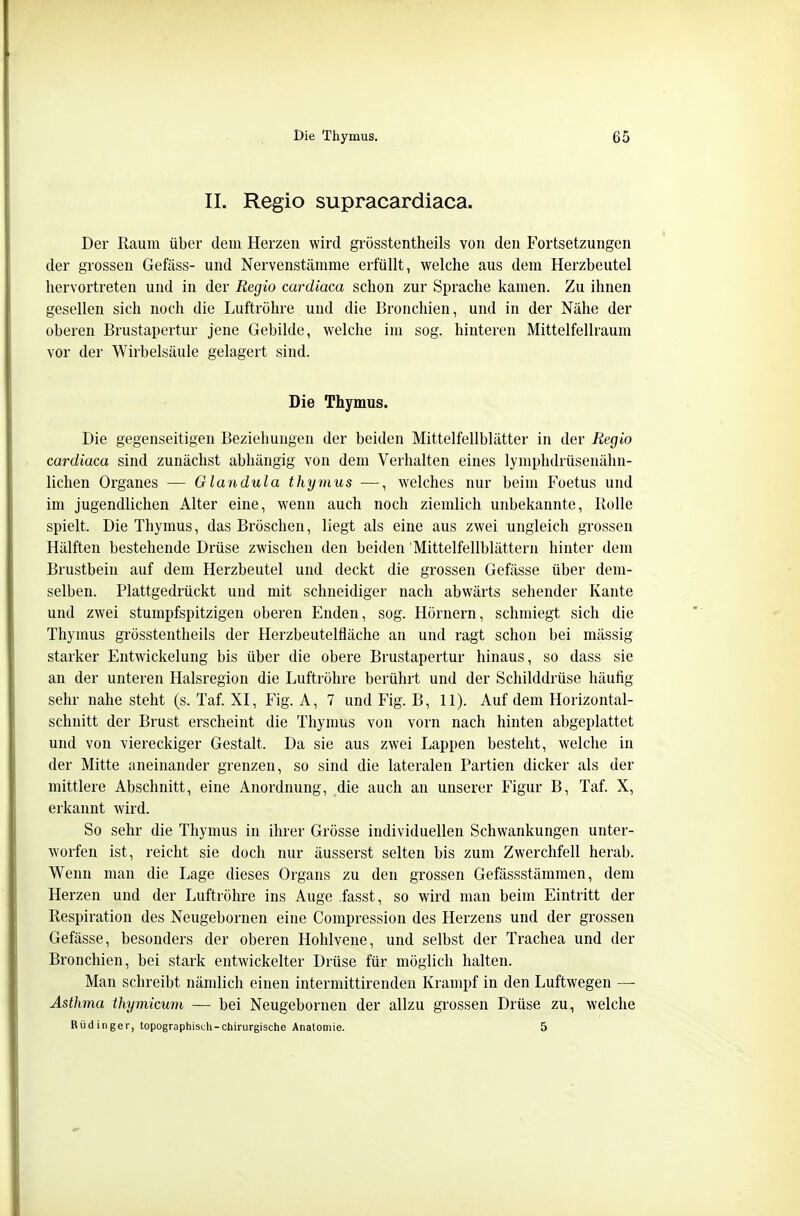II. Regio supracardiaca. Der Raum über dem Herzen wird grösstentlieils von den Fortsetzungen der gx'ossen Gefäss- und Nervenstämme erfüllt, welche aus dem Herzbeutel hervortreten und in der Regio cardiaca schon zur Sprache kamen. Zu ihnen gesellen sich noch die Luftröhre und die Bronchien, und in der Nähe der oberen Brustapertur jene Gebilde, welche im sog. hinteren Mittelfellraum vor der Wirbelsäule gelagert sind. Die Thymus. Die gegenseitigen Beziehungen der beiden Mittelfellblätter in der Regio cardiaca sind zunächst abhängig von dem Verhalten eines lymplidrüsenähn- lichen Organes — Glandula thymus —, welches nur beim Foetus und im jugendlichen Alter eine, wenn auch noch ziemlich unbekannte, liolle spielt. Die Thymus, das Broschen, liegt als eine aus zwei ungleich grossen Hälften bestehende Drüse zwischen den beiden 'Mittelfellblättern hinter dem Brustbein auf dem Herzbeutel und deckt die grossen Gefässe über dem- selben. Plattgedrückt und mit schneidiger nach abwärts sehender Kante und zwei stumpfspitzigen oberen Enden, sog. Hörnern, schmiegt sich die Thymus grösstentheils der Herzbeutelfläche an und ragt schon bei mässig starker Entwickelung bis über die obere Brustapertur hinaus, so dass sie an der unteren Halsregion die Luftröhre berührt und der Schilddrüse häufig sehr nahe steht (s. Taf. XI, Fig. A, 7 und Fig. B, 11). Auf dem Horizontal- schnitt der Brust erscheint die Thymus von vorn nach hinten abgeplattet und von viereckiger Gestalt. Da sie aus zwei Lappen besteht, welche in der Mitte aneinander grenzen, so sind die lateralen Partien dicker als der mittlere Abschnitt, eine Anordnung, die auch an unserer Figur B, Taf. X, erkannt wird. So sehr die Thymus in ihrer Grösse individuellen Schwankungen unter- worfen ist, reicht sie doch nur äusserst selten bis zum Zwerchfell herab. Wenn man die Lage dieses Organs zu den grossen Gefässstämmen, dem Herzen und der Luftröhre ins Auge fasst, so wird man beim Eintritt der Respiration des Neugebornen eine Compression des Herzens und der grossen Gefässe, besonders der oberen Hohlvene, und selbst der Trachea und der Bronchien, bei stark entwickelter Drüse für möglich halten. Man schreibt nämlich einen intermittirenden Krampf in den Luftwegen — Asthma thymicum — bei Neugebornen der allzu grossen Drüse zu, welche Rüdinger, topographisch-chirurgische Anatomie. 5