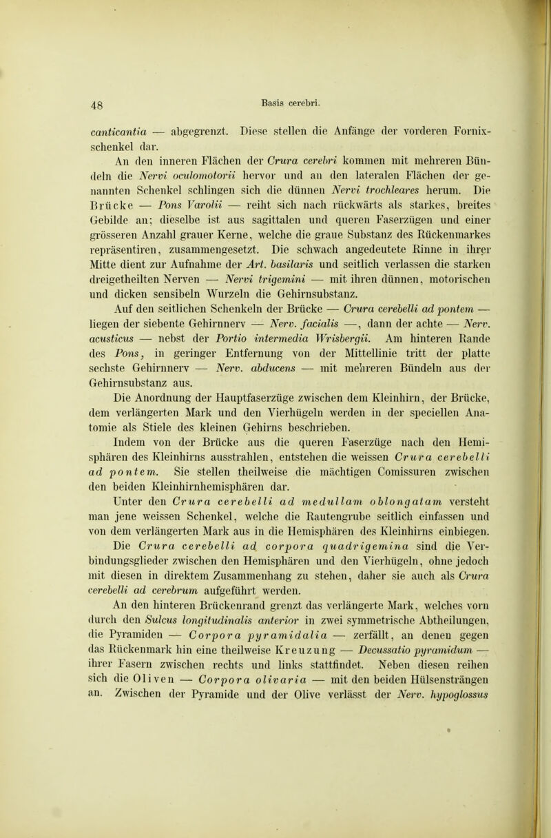 canticantia — abgegrenzt. Diese stellen die Anfänge der vorderen Fornix- schenkel dar. An den inneren Flächen der Crura cerehri kommen mit mehreren Bün- deln die N^ervi oculomotorii hervor und an den lateralen Flächen der ge- nannten Schenkel schlingen sich die dünnen Nervi trochleares herum. Die Brücke — Pons Varolü — reiht sich nach rückwärts als starkes, breites Gebilde an; dieselbe ist aus sagittalen und queren Faserzügen und einer grösseren Anzahl grauer Kerne, welche die graue Substanz des Rückenmarkes repräsentiren, zusammengesetzt. Die schwach angedeutete Rinne in ihrer Mitte dient zur Aufnahme der Art. basilaris und seitlich verlassen die starken dreigetheilten Nerven — Nervi trigemini — mit ihren dünnen, motorischen und dicken sensibeln Wurzeln die Gehirnsubstanz. Auf den seitlichen Schenkeln der Brücke — Crura cerebelli ad pontem — liegen der siebente Gehirnnerv — Nerv, facialis —, dann der achte ■— Nerv, amsticus — nebst der Portio intermedia Wrisbergii. Am hinteren Rande des Pons, in geringer Entfernung von der Mittellinie tritt der platte sechste Gehirnnerv — Nerv, abducens — mit mehreren Bündeln aus der Gehirnsubstanz aus. Die Anordnung der Hauptfaserzüge zwischen dem Kleinhirn, der Brücke, dem verlängerten Mark und den Vierhügeln werden in der speciellen Ana- tomie als Stiele des kleinen Gehirns beschrieben. Indem von der Brücke aus die queren Faserzüge nach den Hemi- sphären des Kleinhirns ausstrahlen, entstehen die weissen Crura cerebelli ad pontem. Sie stellen theilweise die mächtigen Comissuren zwischen den beiden Kleinhirnhemisphären dar. Unter den Crura cerebelli ad medullam oblongatam versteht man jene weissen Schenkel, welche die Rautengrube seitlich einfassen und von dem verlängerten Mark aus in die Hemisphären des Kleinhirns einbiegen. Die Crura cerebelli ad corpora quadrigemina sind die Ver- bindungsglieder zwischen den Hemisphären und den Vierhügeln, ohne jedoch mit diesen in direktem Zusammenhang zu stehen, daher sie auch als Crura cerebelli ad cerebrum aufgeführt werden. An den hinteren Brückenrand grenzt das verlängerte Mark, welches vorn durch den Sulcus longitudinaMs anterior in zwei symmetrische Abtheilungen, die Pyramiden — Corpora pyramidalia — zerfällt, an denen gegen das Rückenmark hin eine theilweise Kreuzung — Decussatio pyramidum — ihrer Fasern zwischen rechts und links stattfindet. Neben diesen reihen sich die Oliven — Corpora olivaria — mit den beiden Hülsensträngen an. Zwischen der Pyramide und der Olive verlässt der Nerv, hypoglossus