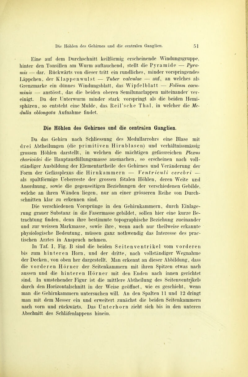 Eine auf dem Durchschnitt keilförmig erscheinende Windungsgruppe, hinter den Tonsillen am Wurm auftauchend, stellt die Pyramide — Pyra- mis — dar. Rückwärts von dieser tritt ein rundliches, minder vorspringendes Läppchen, der Klappenwulst — Tuber valvulae — auf, an welches als Grenzmarke ein dünnes Windungsblatt, das Wipfelblatt — Folium cacu- minis — anstösst, das die beiden oberen Semilunarlappen miteinander ver- einigt. Da der Unterwurm minder stark vorspringt als die beiden Hemi- sphären, so entsteht eine Mulde, das Reil'sehe Thal, in welcher die Me- dulla oblongata Aufnahme findet. Die Höhlen des Gehirnes und die centralen Ganglien. Da das Gehirn nach Schliessung des Medullarrohrs eine Blase mit drei Abtheilungen (die primitiven Hirnblasen) und verhältnissmässig gTossen Höhlen darstellt, in welchen die mächtigen gefässreichen Plexus chorioidei die Hauptausfüllungsmasse ausmachen, so erscheinen nach voll- ständiger Ausbildung der Elementartheile des Gehirnes und Veränderung der Form der Gefässplexus die Hirnkammern — Ventriculi cerebri — als spaltförmige Ueberreste der grossen fötalen Höhlen, deren Weite und Anordnung, sowie die gegenseitigen Beziehungen der verschiedenen Gebilde, welche an ihren Wänden liegen, nur an einer grösseren Reihe von Durch- schnitten klar zu erkennen sind. Die verschiedenen Vorsprünge in den Gehirnkammern, durch Einlage- rung grauer Substanz in die Fasermasse gebildet, sollen hier eine kurze Be- trachtung finden, denn ihre bestimmte topographische Beziehung zueinander und zur weissen Markmasse, sowie ihre, wenn auch nur theilweise erkannte physiologische Bedeutung, müssen ganz nothwendig das Interesse des prac- tischen Arztes in Anspruch nehmen. In Taf. I, Fig. B sind die beiden Seitenventrikel vom vorderen bis zum hinteren Horn, und der dritte, nach vollständiger Wegnahme der Decken, von oben her dargestellt. Man erkennt an dieser Abbildung, dass die vorderen Hörn er der Seitenkammern mit ihren Spitzen etwas nach aussen und die hinteren Hörn er mit den Enden nach innen gerichtet sind. In umstehender Figur ist die mittlere Abtheilung des Seitenventrikels durch den Horizontalschnitt in der Weise geötfnet, wie es geschieht, wenn man die Gehirnkammern untersuchen will. An den Spalten 11 und 12 dringt man mit dem Messer ein und erweitert zunächst die beiden Seitenkammern nach vorn und rückwärts. Das Unterhorn zieht sich bis in den unteren Abschnitt des Schläfenlappens hinein.