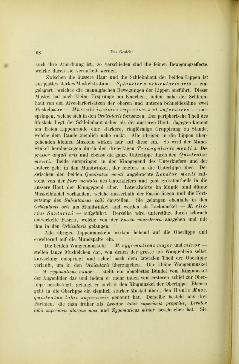 auch ihre Anordnung ist, so verschieden sind die feinen Bewegungseffecte, welche durch sie vermittelt werden. Zwischen die äussere Haut und die Schleimhaut der beiden Lippen ist ein plattes starkes Muskelstratum — Sphincter s. orbicularis oris — ein- gelagert , welches die mannigfachen Bewegungen der Lippen ausführt. Dieser Muskel hat auch kleine Ursprünge an Knochen, indem nahe der Schleim- haut von den Alveolarfortsätzen der oberen und unteren Schneidezähne zwei Muskelpaare — Musculi incisivi super ior es et inferior es — ent- springen, welche sich in den Orbicularis fortsetzen. Der peripherische Theil des Muskels liegt der Schleimhaut näher als der äusseren Haut, dagegen kommt am freien Lippenrande eine stärkere, ringförmige Gruppirung zu Stande, welche dem Rande ziemlich nahe rückt. Alle übrigen in die Lippen über- gehenden kleinen Muskeln wirken nur auf diese ein. So wird der Mund- winkel herabgezogen durch den dreieckigen Triangularis menti s. De- pressor anguli oris und ebenso die ganze Unterlippe durch den Quadratus menti. Beide entspringen in der Kinngegend des Unterkiefers und der erstere geht in den Mundwinkel, der letztere in die Unterlippe über. Der zwischen den beiden Quadratus menti angebrachte Levator menti ent- steht von der Pars mentalis des Unterkiefers und geht grösstentheils in die äussere Haut der Kinugegend über. Lateralwärts im Munde sind dünne Muskelbündel vorhanden, welche ausserhalb der Fascie liegen und die Fort- setzung des Subcutaneus colli darstellen. Sie gelangen ebenfalls in den Orbicularis oris am Mundwinkel und werden als Lachmuskel — M. riso- rius Santorini — aufgeführt. Derselbe wird unterstützt durch schwach entwickelte Fasern, welche von der Fascia masseterica ausgehen und mit ihm in den Orbicularis gelangen. Alle übrigen Lippenmuskeln wirken hebend auf die Oberlippe und erweiternd auf die Mundspalte ein. Die beiden Wangenmuskeln — M. zygomaticus major und minor — stellen lange Muskelchen dar, von denen der grosse am Wangenbein selbst kurzsehnig entspringt und schief nach dem lateralen Theil der Oberlippe verläuft, um in den Orbicularis überzugehen. Der kleine Wangenmuskel — M. zygomaticus minor — stellt ein abgelöstes Bündel vom Ringmuskel der Augenlider dar und indem er mehr innen vom ersteren schief zur Ober- lippe herabsteigt, gelangt er auch in den Ringmuskel der Oberlippe. Ebenso geht in die Oberlippe ein ziemlich starker Muskel über, den He nie Muse, quadratus labii superioris genannt hat. Derselbe besteht aus drei Parthien, die man früher als Levator labii superioris proprius, Leimtor labii superioris alaeque nasi und Zygomaticus minor beschrieben hat. Sie