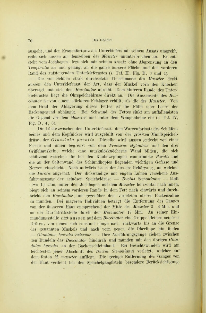 ausgellt, uiul den Kronenfortsatz des Unterkiefers mit seinem Ansatz umgreift, reilit sich aussen an demselben der Masseter ununterbrochen an. Er ent- steht vom Jochbogen, legt sich mit seinem Ansatz ohne Abgrenzung an den Temporaiis an und gelangt an die ganze äussere Fläche und den vorderen Rand des aufsteigenden Unterkieferastes (s. Taf. II, Fig. D, 3 und 4). Die von Sehnen stark durchsetzte Fleischmasse des Masseter deckt aussen den Unterkieferast der Art, dass der Muskel vorn den Knochen überragt und sich dem Buccinator anreiht. Dem hinteren Rande des Untei- kieferastes liegt die Ohrspeicheldrüse direkt an. Die Aussenseite des Buc- cinator ist von einem stärkeren Fettlager erfüllt, als die des Masseter. Von dem Grad der Ablagerung dieses Fettes ist die Fülle oder Leere der Backengegend abhängig. Bei Schwund des Fettes sinkt am auffallendsten die Gegend vor dem Masseter und unter dem Wangenbeine ein (s. Taf. IV, Fig. D, 4, 6). Die Lücke zwischen dem Unterkieferast, dem Warzenfortsatz des Schläfen- beines und dem Kopfnicker wird ausgefüllt von der grössten Mundspeichel- drüse, der Glandula parotis. Dieselbe wird aussen gedeckt von einer Fascie und innen begrenzt von dem Processus styloideus und den drei Gritfelmuskeln, welche eine nmskulösknöcherne Wand bilden, die sich schützend zwischen die bei den Kaubewegungeu comprimirte Parotis und die an der Seitenwand des Schlundkopfes liegenden wichtigen Gefässe und Nerven einschiel)t. Nach aufwärts ist es der äussere Gehörgang, an welchen die Parotis angrenzt. Der dickwandige mit engem Luinen versehene Aus- führuiigsgang der acinösen Speicheldrüse — Ductus Stenonianus — läuft etwa 1,4 Ctin. unter dem Jochbogen auf dem Masseter horizontal nach innen, biegt sich an seinem vorderen Rande in dem Fett nach einwärts und durch- bricht den Buccinator, um gegenüber dem vorletzten oberen Backenzahne zu münden. Bei mageren Individuen beträgt die Entfernung des Ganges von der äusseren Haut entsprechend der Mitte des Masseter ^—4 Mm. und an der Durclitrittsstelle durch den Buccinator 17 Mm. An seiner Ein- mündungssteile sitzt aussen auf dem Buccinator eine Gruppe kleiner, acinöser Drüsen, von denen sich constant einige nach rückwärts bis an die Grenze des genannten Muskels und nach vorn gegen die Oberlippe hin finden — Glandulae huccales externae —. Ihre Ausführungsgänge ziehen zwischen den Bündeln des Buccinator hindurch und münden mit den übrigen Glan- dulae buccales an der Backenschleimhaut. Bei Gesichtswunden wird am leichtesten jener Abschnitt des Ductus Stenonianus verletzt, welcher auf dem festen M. masseter aufliegt. Die geringe Entfernung des Ganges von der Haut verdient bei den Speichelgangfisteln besondere Berücksichtigung.
