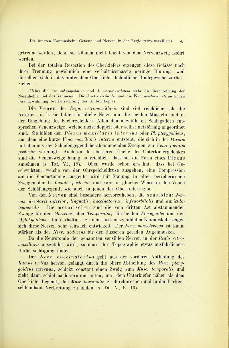 getrennt werden, denn sie können nicht leicht von dem Nervenzweig isolirt werden. Bei der totalen Resection des Oberkiefers erzeugen diese Gefässe nach ihrer Trennung gewöhnlich eine verhältnissniässig geringe Blutung, weil dieselben sich in das hinter dem Oberkiefer befindliche Bindegewebe zurück- ziehen. (lieber die Art. sphenopalatina und A. pterygo-palatina sielie die Beschreibung der Nasenhöhle und des Gaumens.) Die Carotis cerebralis und die Vena jugularis interna finden ihre Erwähnung bei Betrachtung des Schlundkopl'es. Die Venen der Regio retromaxülaris sind viel reichlicher als die Arterien, d. h. sie bilden förmliche Netze um die beiden Muskeln und in der Umgebung des Kiefergelenkes. Allen den angeführten Schlagadern ent- sprechen Venenzweige, welche meist doppelt oder selbst netzförmig angeordnet sind. Sie bilden den Plexus maxillaris internus odev PI. pterygoideus, aus dem eine kurze Vena maxillaris interna entsteht, die sich in der Parotis mit den aus der Schläfengegend herabkommenden Zweigen zur Vena facialis posterior vereinigt. Auch an der äusseren Fläche des Unterkiefergelenkes sind die Venenzweige häufig so reichlich, dass sie die Form eines Plexus annehmen (s. Taf. VI, 19). Oben wurde schon erwähnt, dass bei Ge- schwülsten, welche von der Ohrspeicheldrüse ausgehen, eine Compression auf die Venenstämme ausgeübt wird mit Stauung in allen peripherischen Zweigen der V. facialis posterior und zwar in gleicher Weise in den Venen der Schläfengegend, wie auch in jenen der Oberkieferregion. Von den Nerven sind besonders hervorzuheben, die sensiblen: Ner- vus alveolaris inferior \ lingualis, buccinatorius, infraorbitalis und auriculo- temporalis. Die motorischen sind die vom dritten Ast abstammenden Zweige für den Masseter., den Temporalis, die beiden Pterygoidei und den Mylohyoideus. Im Verhältniss zu den stark ausgebildeten Kaumuskeln zeigen sich diese Nerven sehr schwach entwickelt. Der Nerv, massetericus ist kaum stärker als der Nerv, abducens für den äusseren geraden Augenmuskel. Da die Neurotomie der genannten sensiblen Nerven in der Regio retro- maxillaris ausgeführt wird, so muss ihre Topographie etwas ausführlichere Berücksichtigung finden. Der Nerv, buccinatorius geht aus der vorderen Abtheilung des Ramus tertius hervor, gelangt durch die obere Abtheilung des Muse, ptery- goideus externus, schickt constant einen Zweig zum Muse, temporalis und zieht dann schief nach vorn und unten, um, dem Unterkiefer näher als dem Oberkiefer liegend, den Muse, buccinator zu durchbrechen und in der Backen- schleinihaut Verbreitung zu finden (s. Taf. V, B, 16).