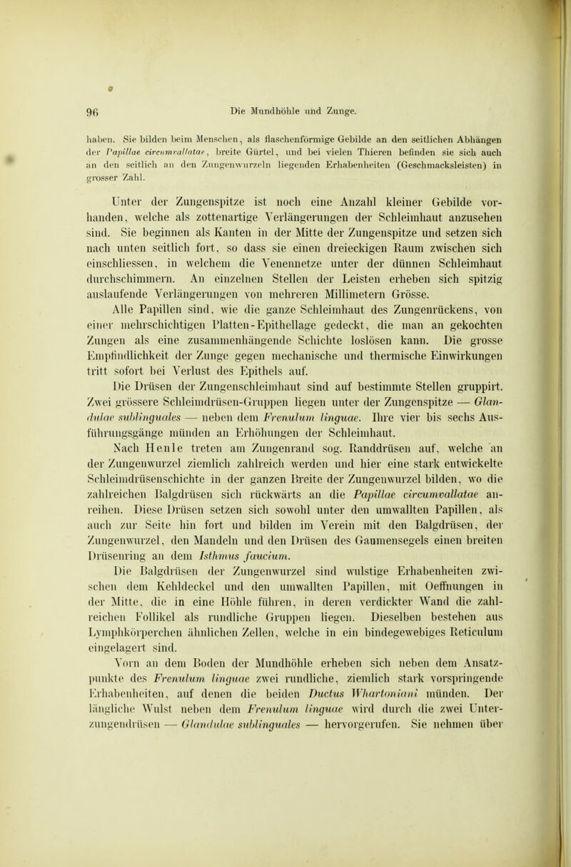 haben. Sie bilden beim Menschen, als flaschenförmige Gebilde an den seitlichen Abhängen der Papillae circnmrallatae ^ breite Gürtel, und bei vielen Thieren befinden sie sich auch an den seitlich au den Znngenwurzeln liegenden Erhabenheiten (Geschmacksleisten) in grosser Zahl. Unter der Zungenspitze ist noch eine Anzahl kleiner Gebilde vor- handen, welche als zottenartige Verlängerungen der Schleimhaut anzusehen sind. Sie beginnen als Kanten in der Mitte der Zungenspitze und setzen sich nach unten seitlich fort, so dass sie einen dreieckigen Raum zwischen sich einschliessen, in welchem die Venennetze unter der dünnen Schleimhaut diu-chschimmern. An einzelnen Stellen der Leisten erheben sich spitzig auslaufende Verlängerungen von mehreren Millimetern Grösse. Alle Papillen sind, wie die ganze Schleimhaut des Zungenrückens, von einer mehrschichtigen Tlatten - Epithellage gedeckt, die man an gekochten Zungen als eine zusammenhängende Schichte loslösen kann. Die grosse Emi)hndlichkeit der Zunge gegen mechanische und thermische Einwirkungen tritt sofort bei Verlust des Epithels auf. Die Drüsen der Zungenschleimhaut sind auf bestimmte Stellen gruppirt. Zwei grössere Schleimdrüsen-Gruppen liegen unter der Zungenspitze — Glan- dulae sublinguales — neben dem Frenulum Unguae. Ihre vier bis sechs Aus- führungsgänge münden an Erhöhungen der Schleimhaut. Nach Heule treten am Zungenrand sog. Randdrüsen auf, welche an der Zungenwurzel ziemlich zahlreich werden und hier eine stark entwickelte Schleinidrüsenschichte in der ganzen Breite der Zungenwurzel bilden, wo die zahlreichen Balgdrüsen sich rückwärts an die Papillae circumvallatae an- reihen. Diese Drüsen setzen sich sowohl unter den umwallten Papillen, als auch zur Seite hin fort und bilden im Verein mit den Balgdiüsen, der Zungenwurzel, den Mandeln und den Drüsen des Gaumensegels einen breiten Drüsenring an dem Isthmus faucium. Die Balgdrüsen der Zungenwurzel sind wulstige Erhabenheiten zwi- schen dem Kehldeckel und den umwallten Papillen, mit Oeffnungen in der j\litte, die in eine Höhle führen, in deren verdickter Wand die zahl- reichen Follikel als rundliche Gruppen liegen. Dieselben bestehen aus Lymphkörperchen ähnlichen Zellen, welche in ein bindegewebiges Reticulum eingelagert sind. Vorn au dem Boden der Mundhöhle erheben sich neben dem Ansatz- l)unkto des Fremilum Unguae zwei rundliche, ziemlich stark vorspringende Erhabenheiten, auf denen die beiden Ductus Whartoniani münden. Der längliche Wulst neben dem Frenulum Unguae wird durch die zwei Unter- zungendrüsen — Glandulae sublinguales — hervorgerufen. Sie nehmen übei-